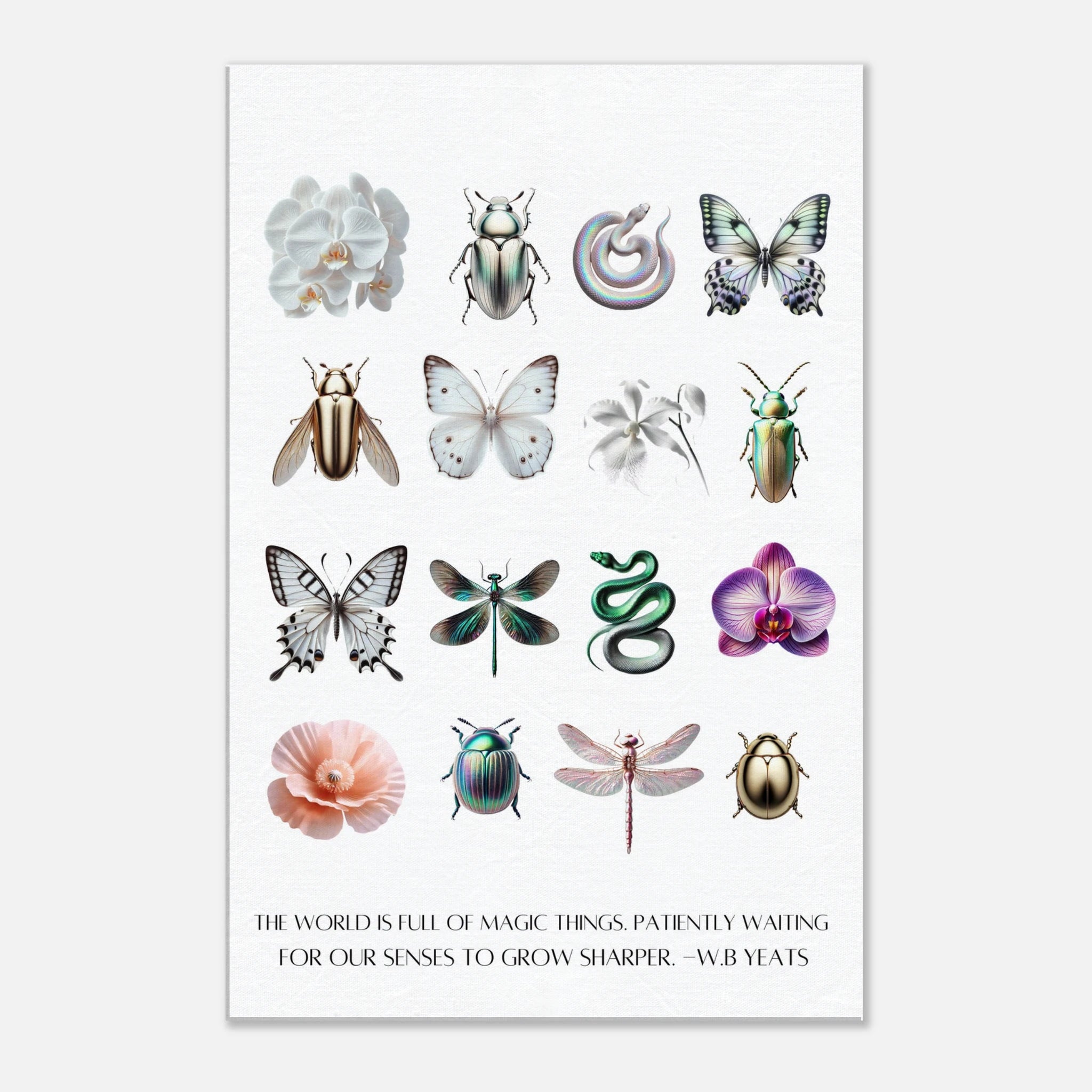 01d0bd96-472b-466d-bb6f-43315464dfcd