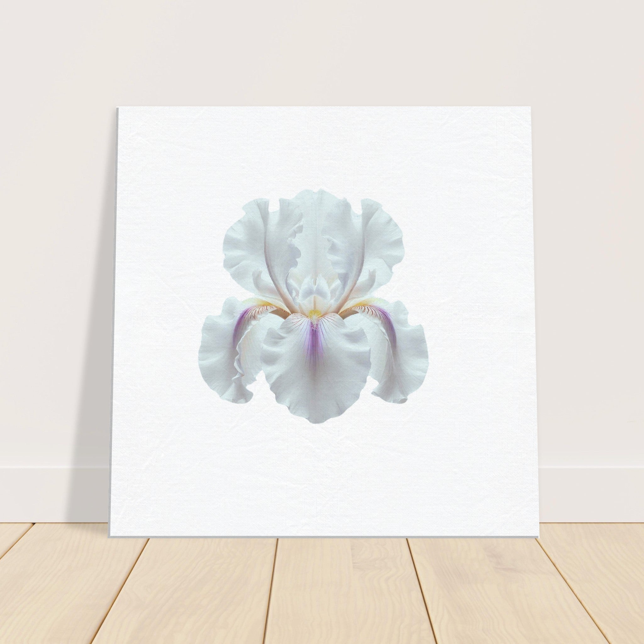 049f82e9-c453-479d-97f5-6513de930c62