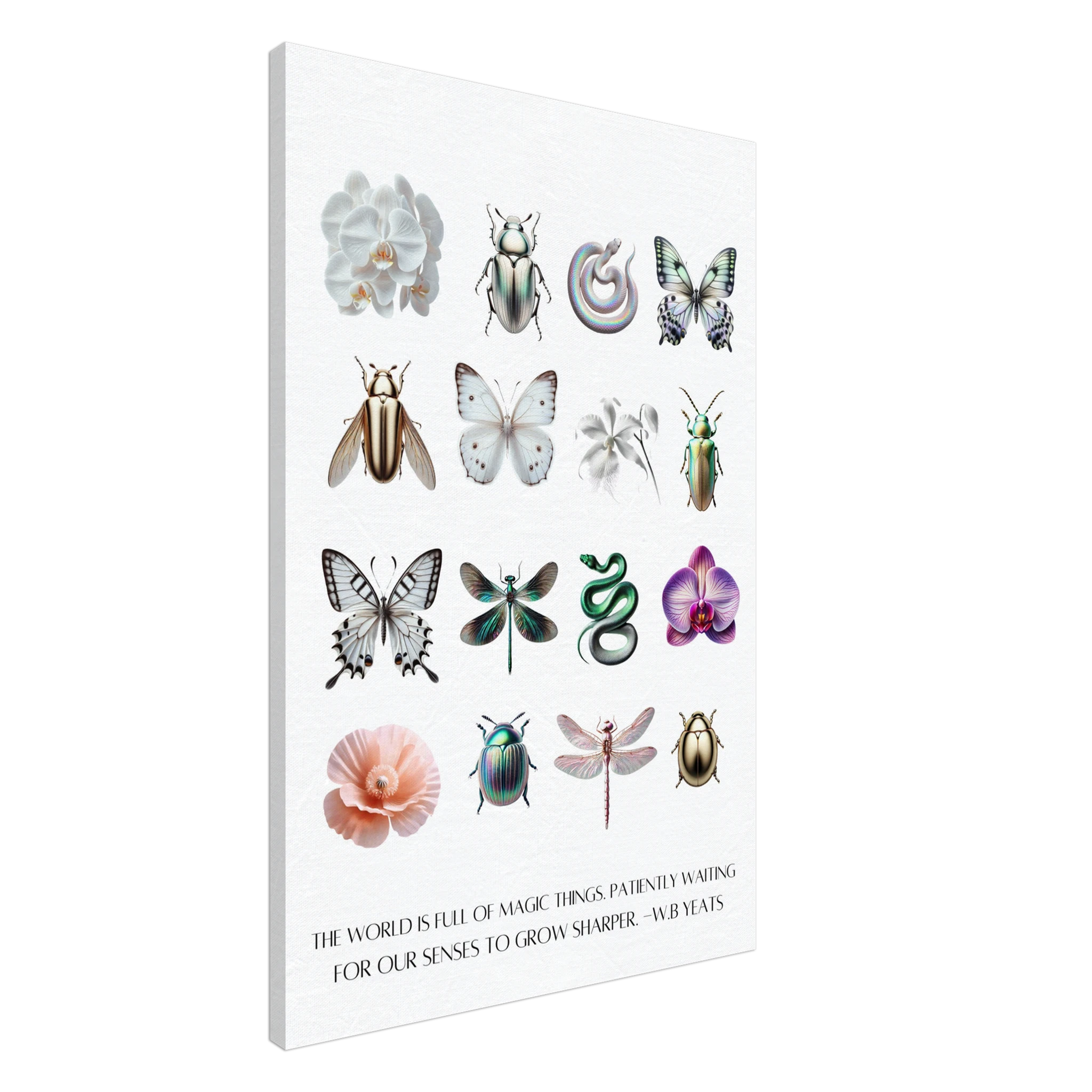 07882aa9-c142-418a-8be3-2c1b8b990258