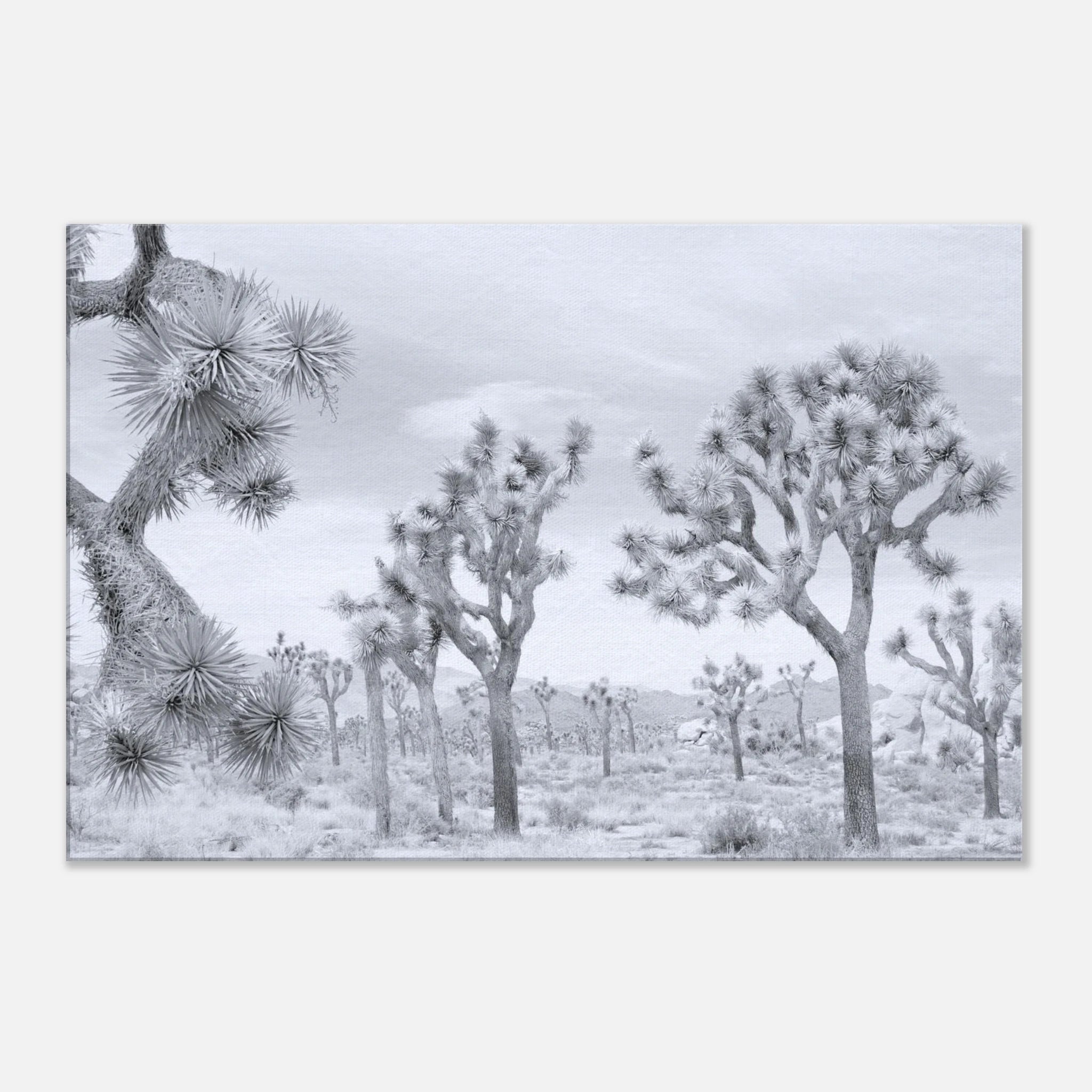 112b3dea-1739-4738-acc4-3775a17edf27