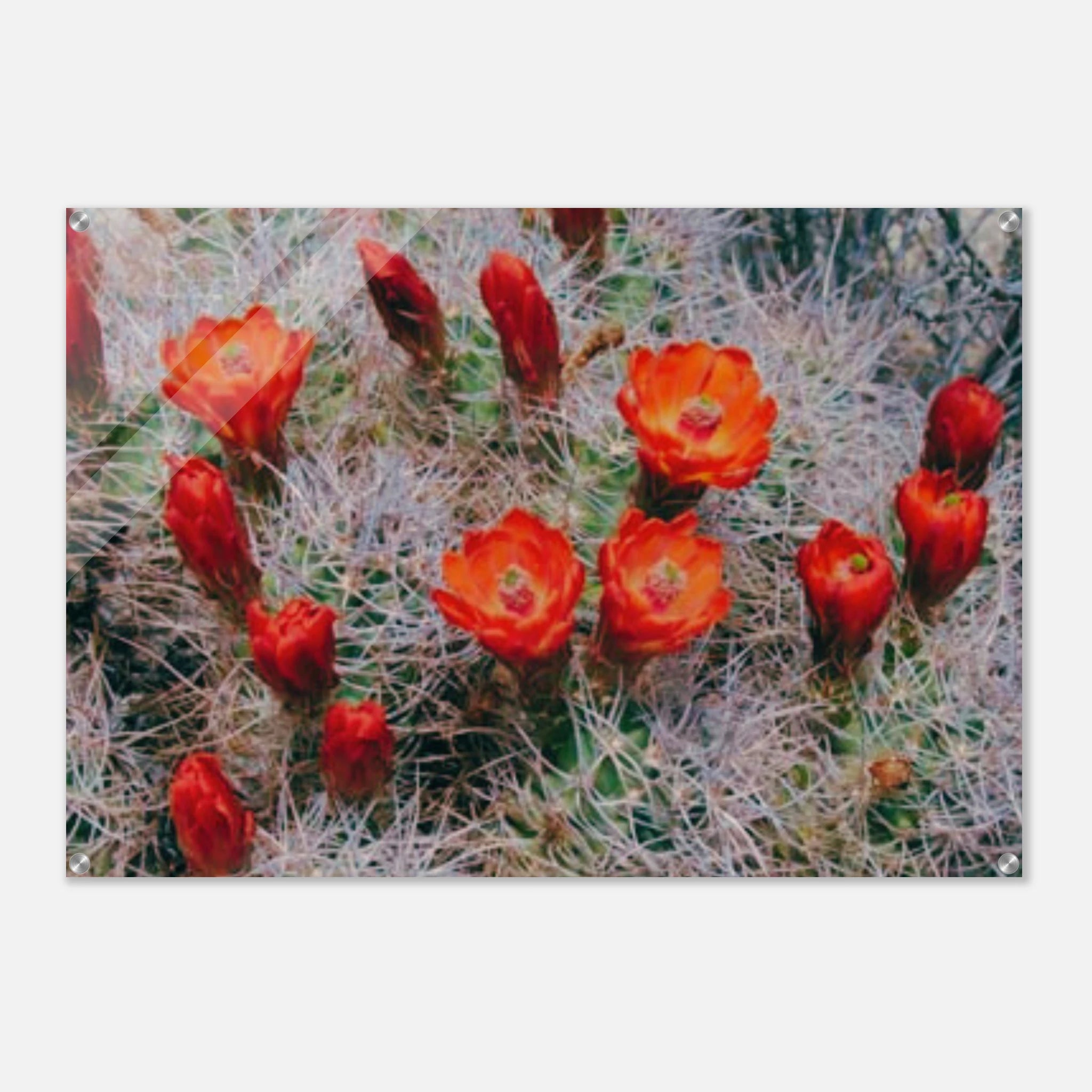 1f07daf5-6e63-4437-a733-e290cede2b48