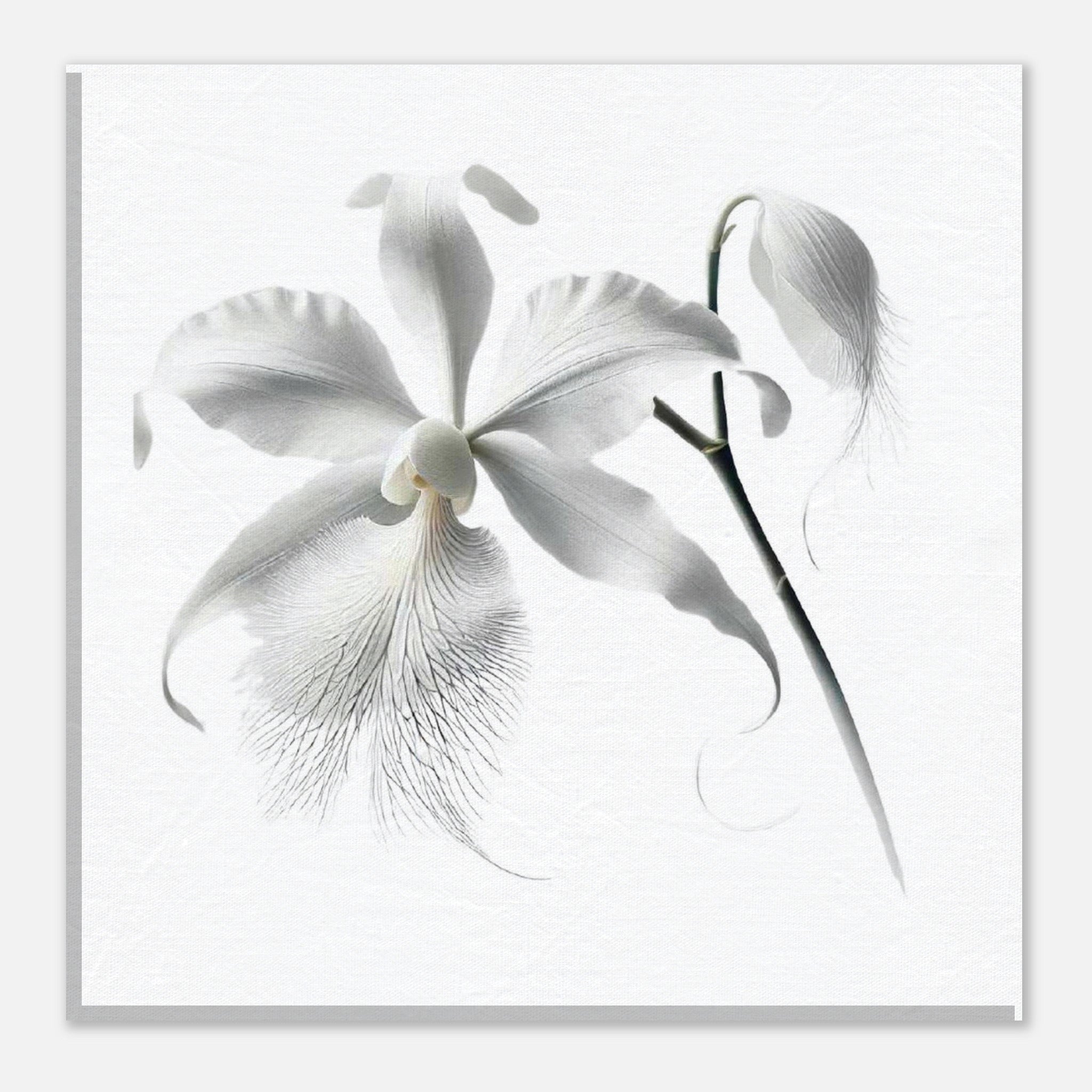 272752a3-912f-4fcf-aa9e-0b74222a4241