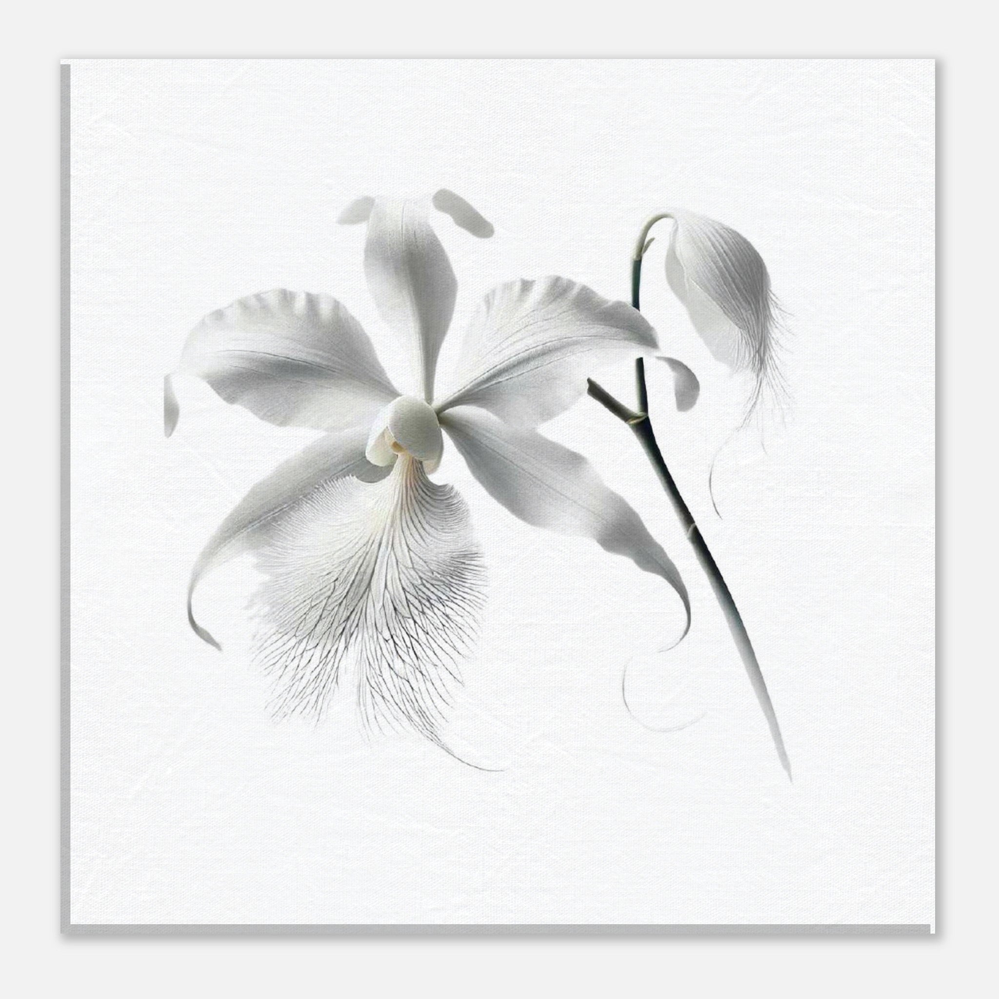 30bdb1a9-9885-4598-ae2a-7386b3a672bc