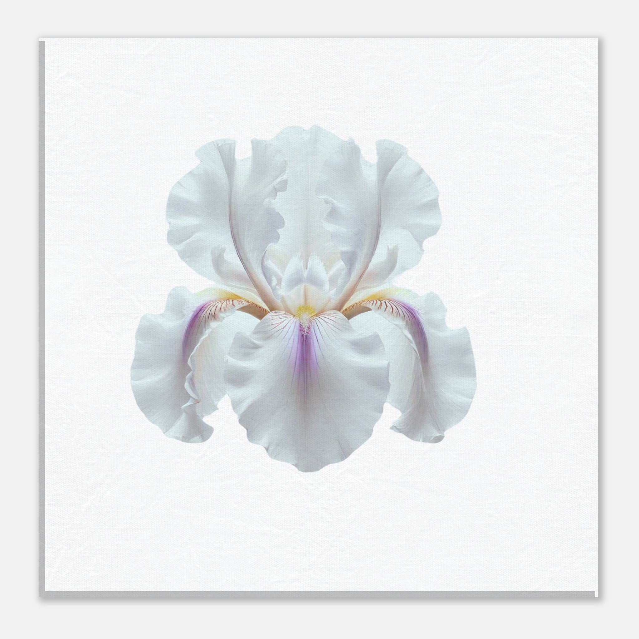 3894397f-63fe-44a0-84c9-0329ae71f623