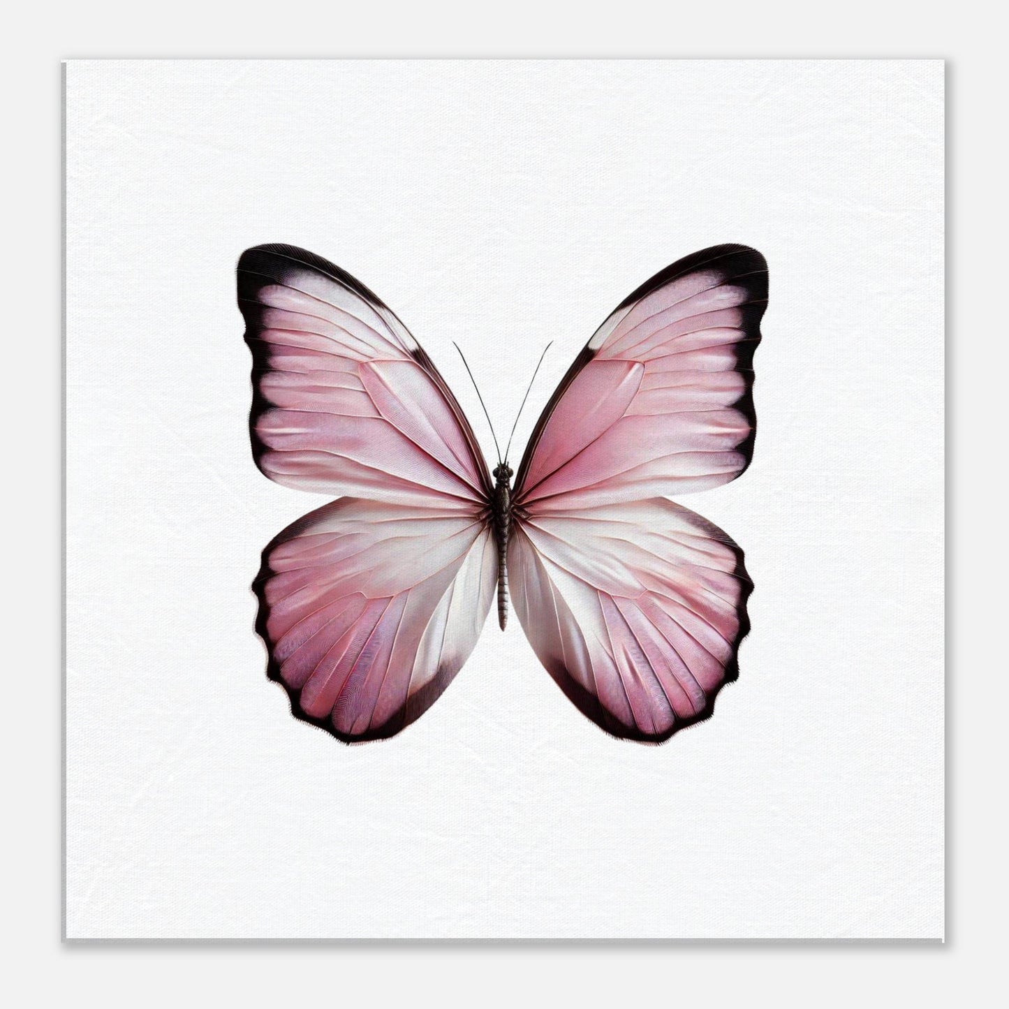 4b178d80-9e88-4df2-8c5f-ebb0e95fa81b