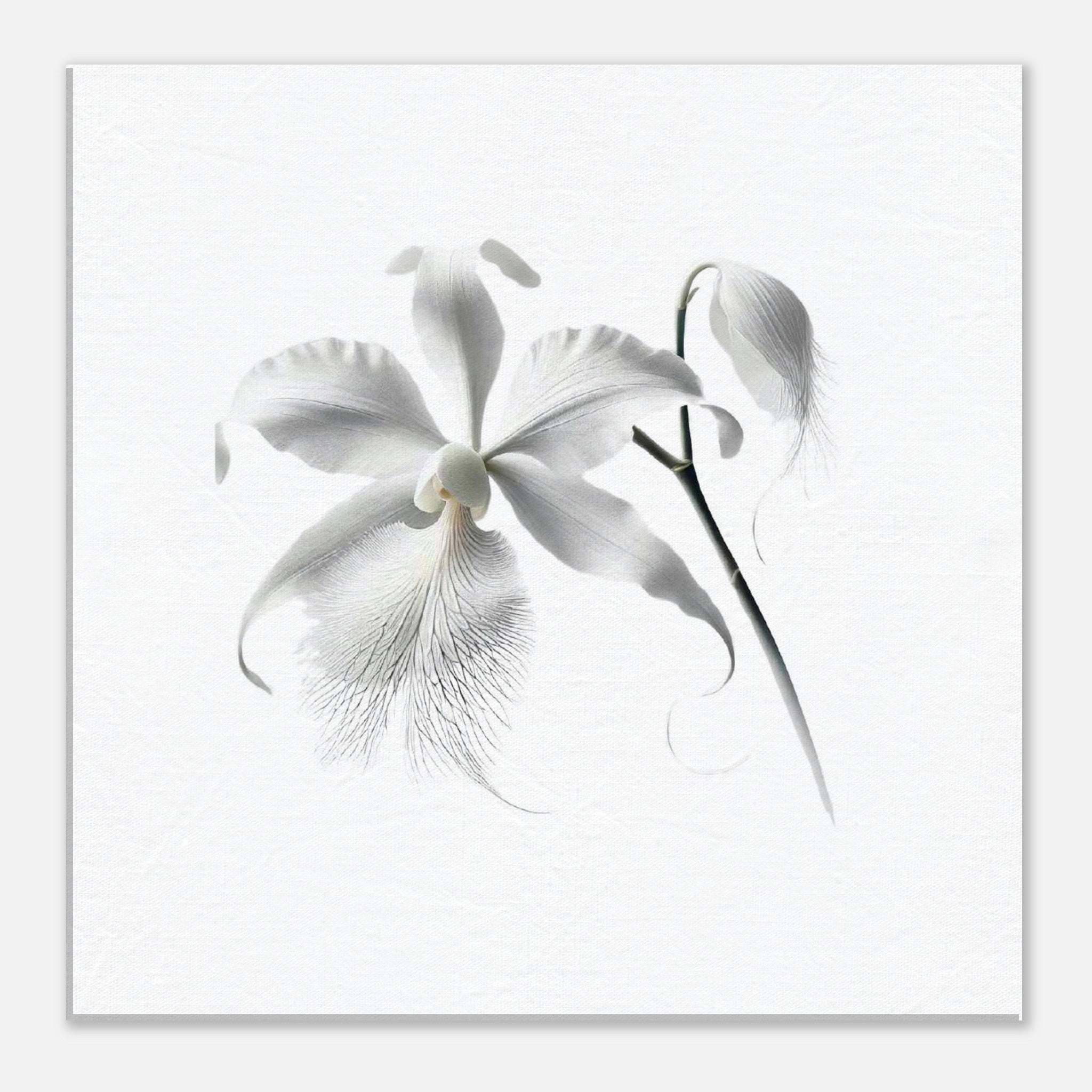 61c12b80-02f9-4802-a85e-a0a7543b9880