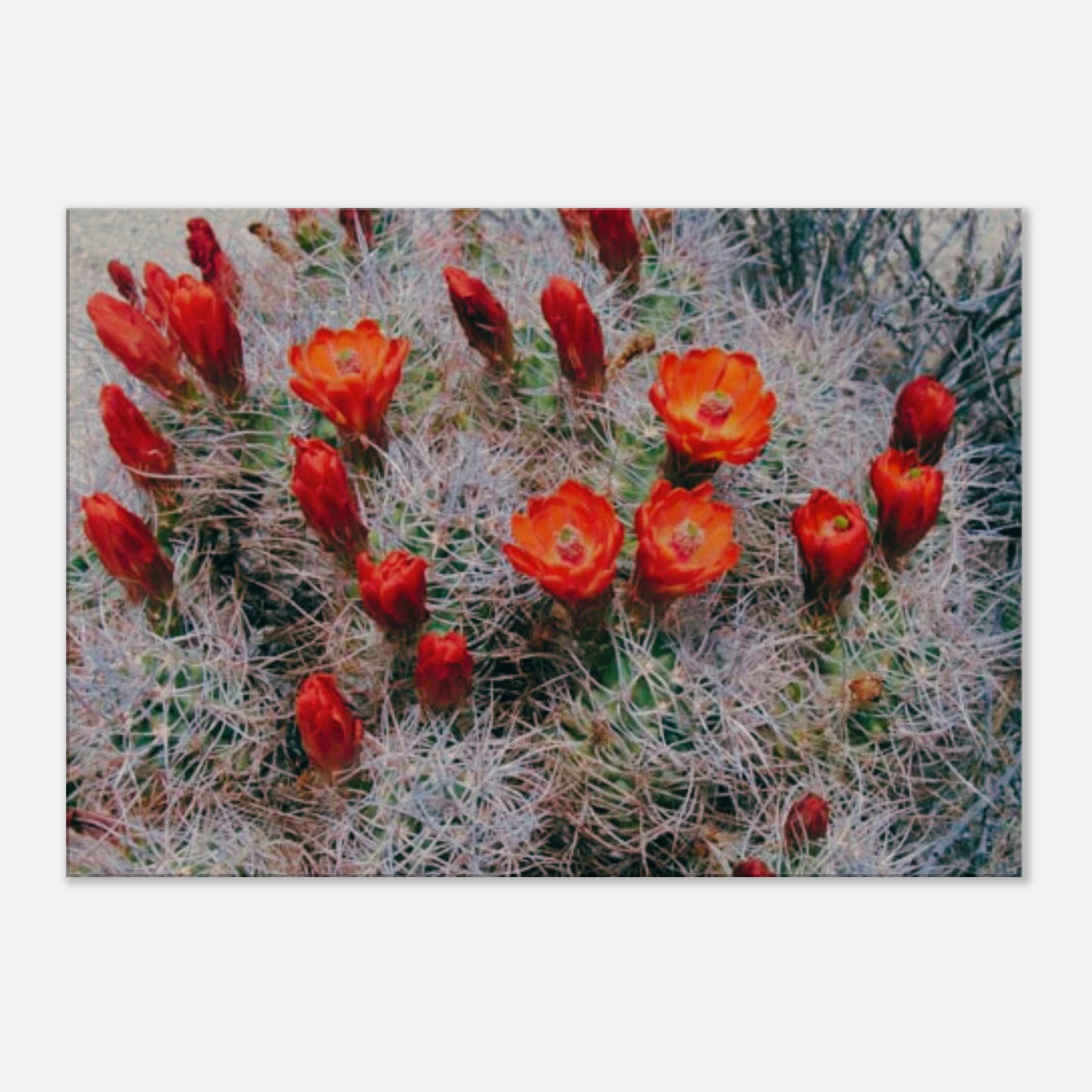 677164fc-6ed2-4b07-a93d-73b83b903e62