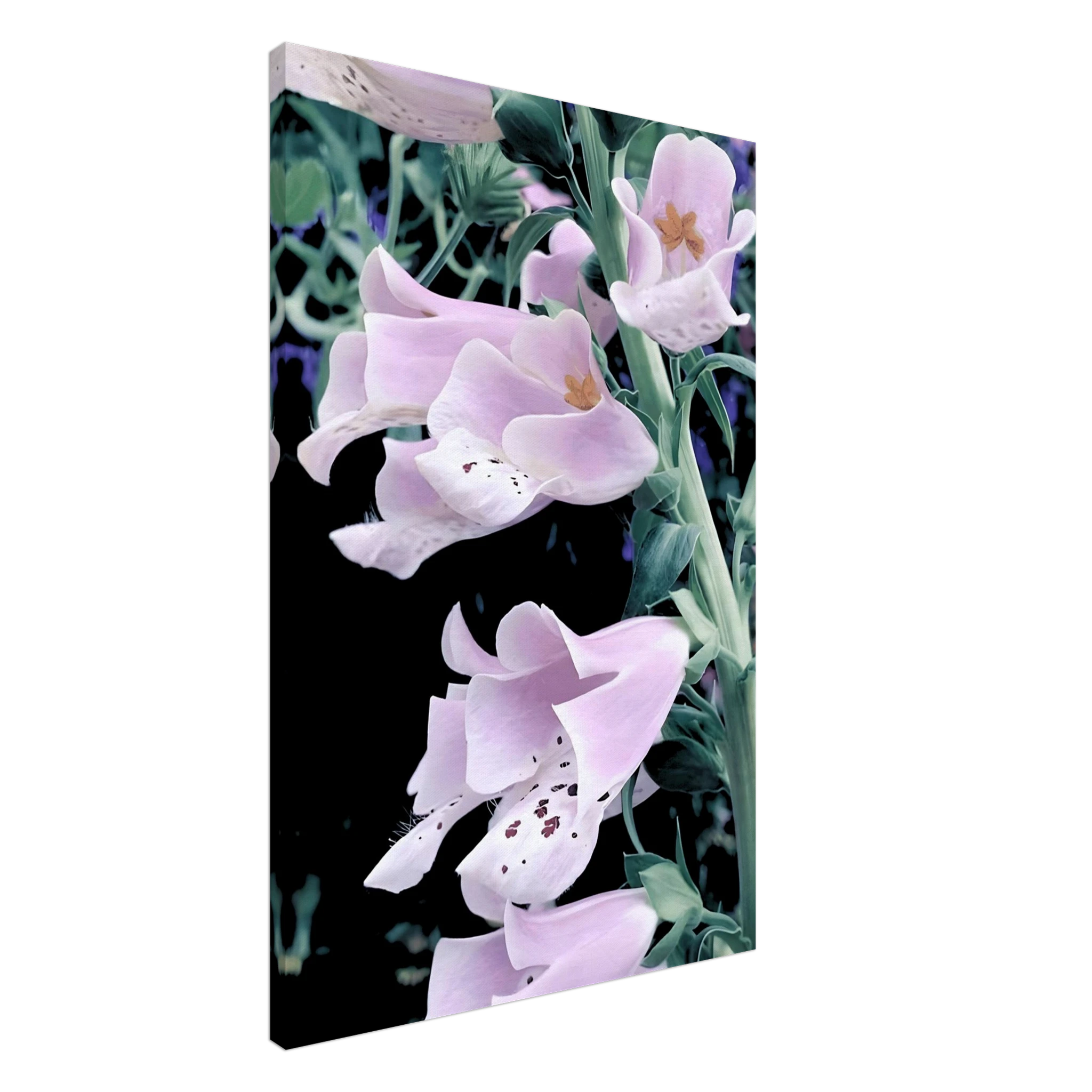 6dceb52b-c302-4904-81bb-9f8fe7f0a654