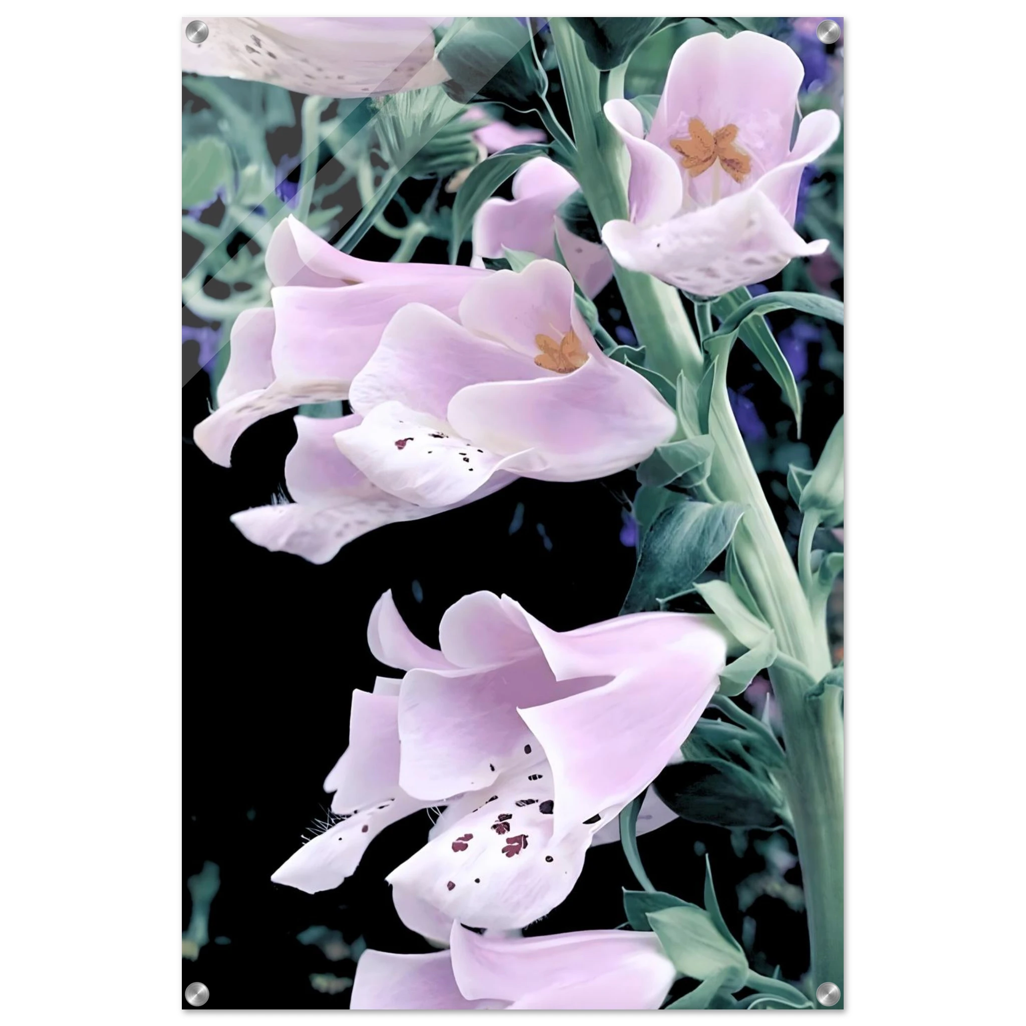 702c2223-bf32-43ca-8815-2eb29397ccf3