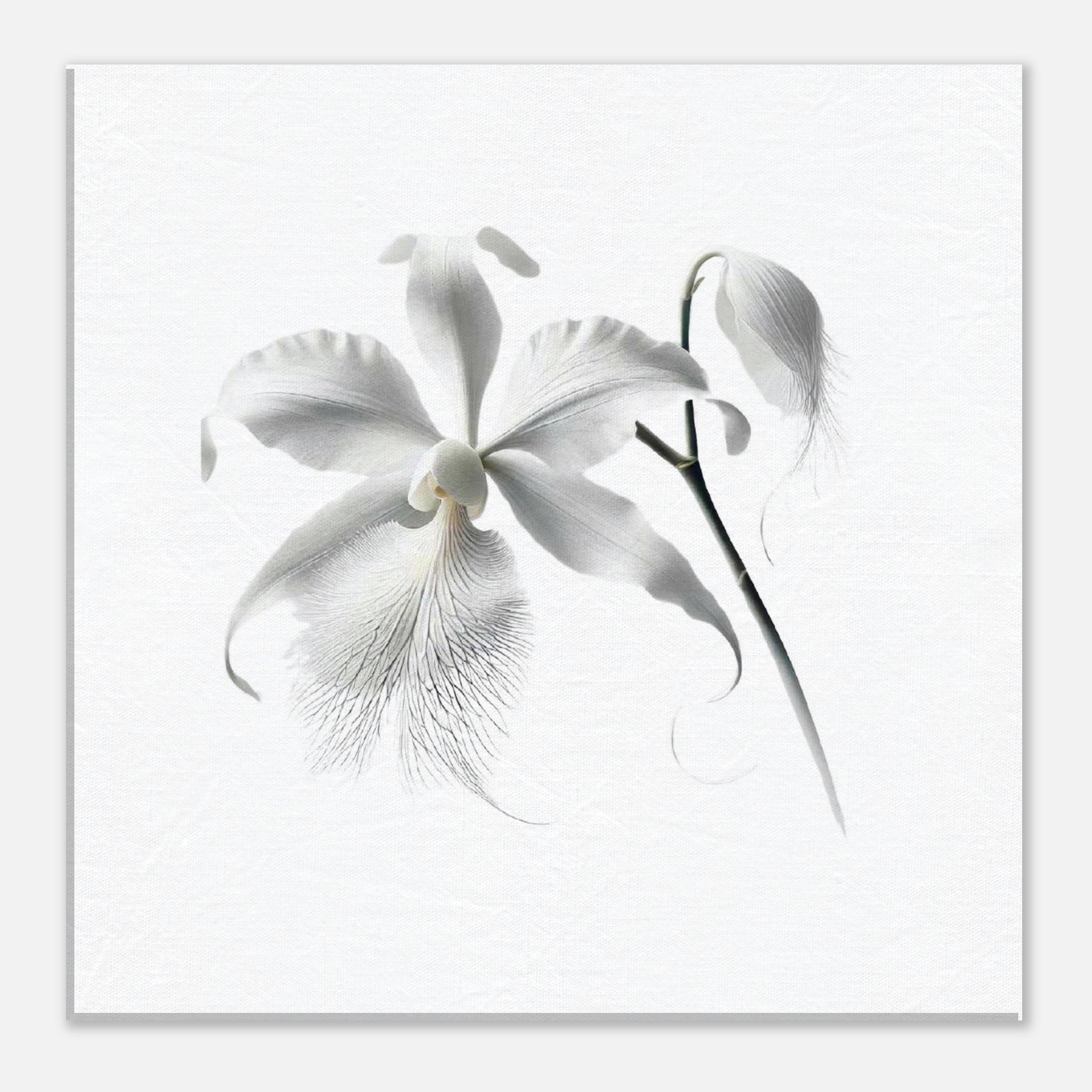 84dd9d2f-040c-43ef-9bf9-f0602918c8c4