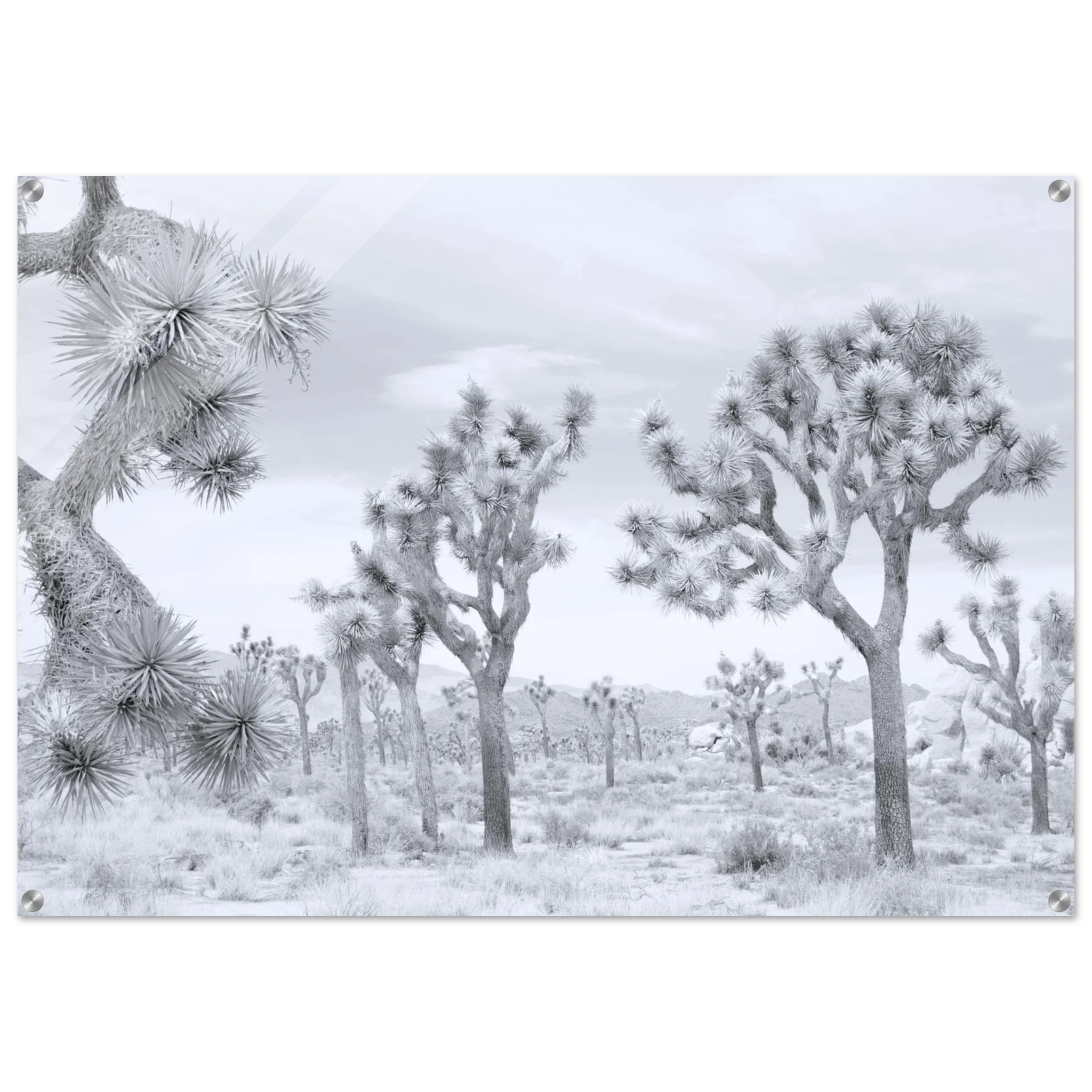 99efc2dc-58b0-403a-b0f5-faf8e41d68c9