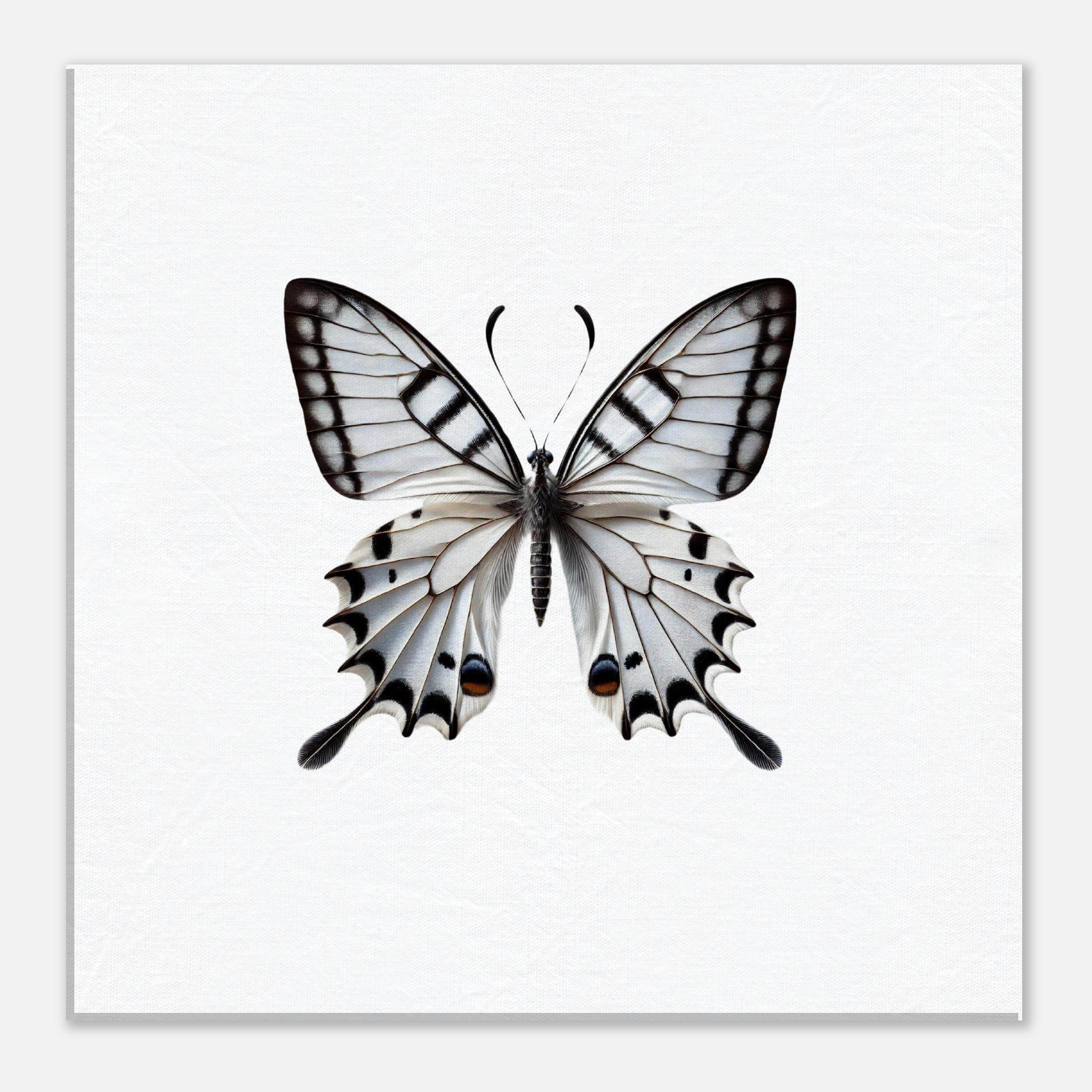 a490d580-eff2-4e12-a3cf-a6e399126b11