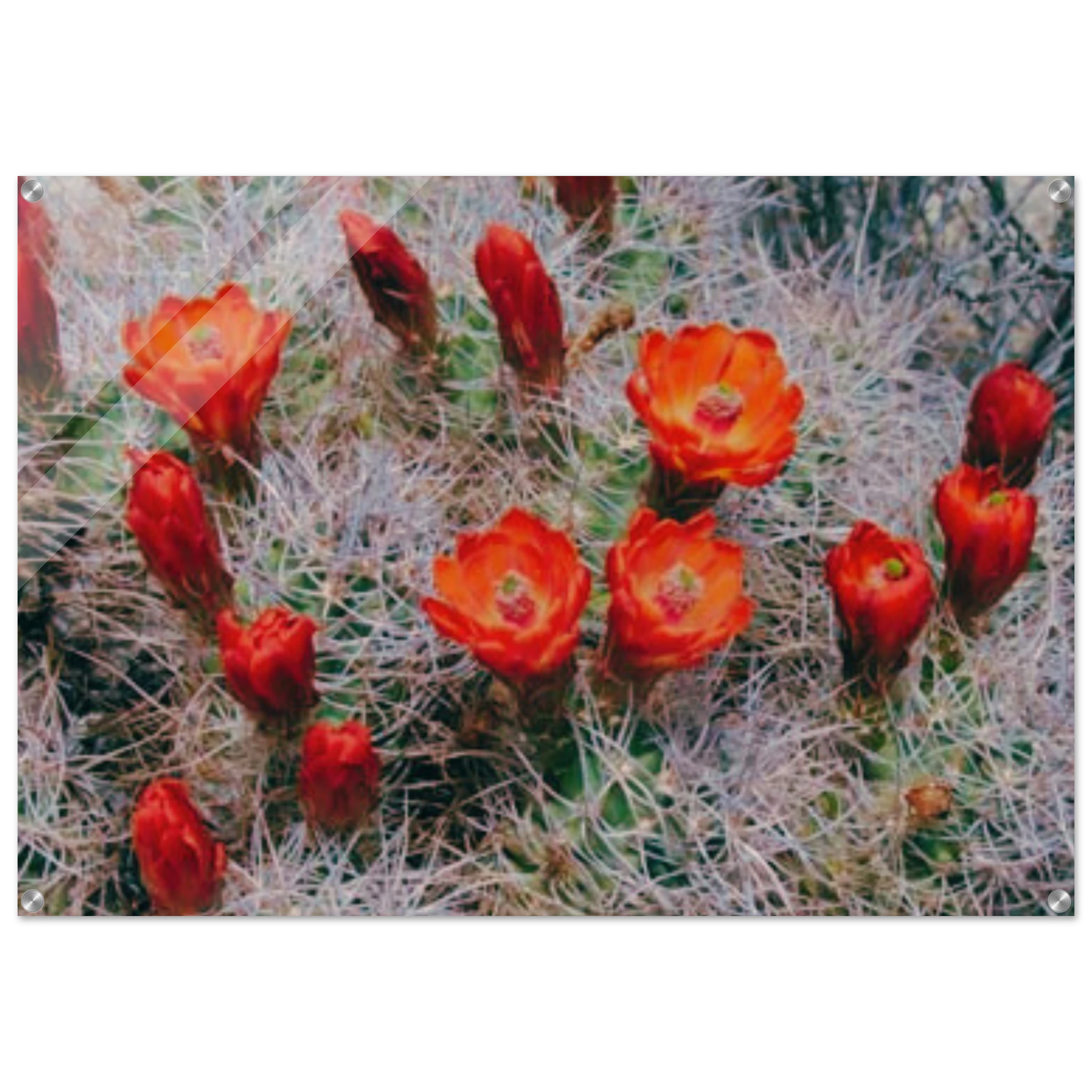 aaa83158-98a5-4bb4-8979-3af5b499e4e1