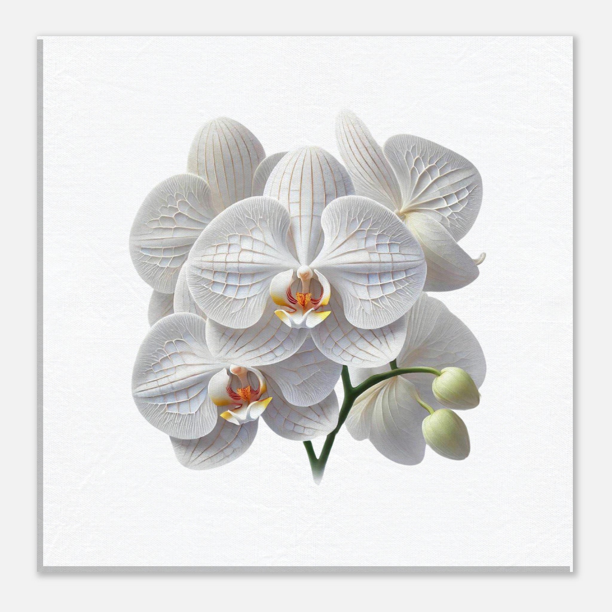 c88ce435-ea88-4fb0-8084-bbda52b6746e