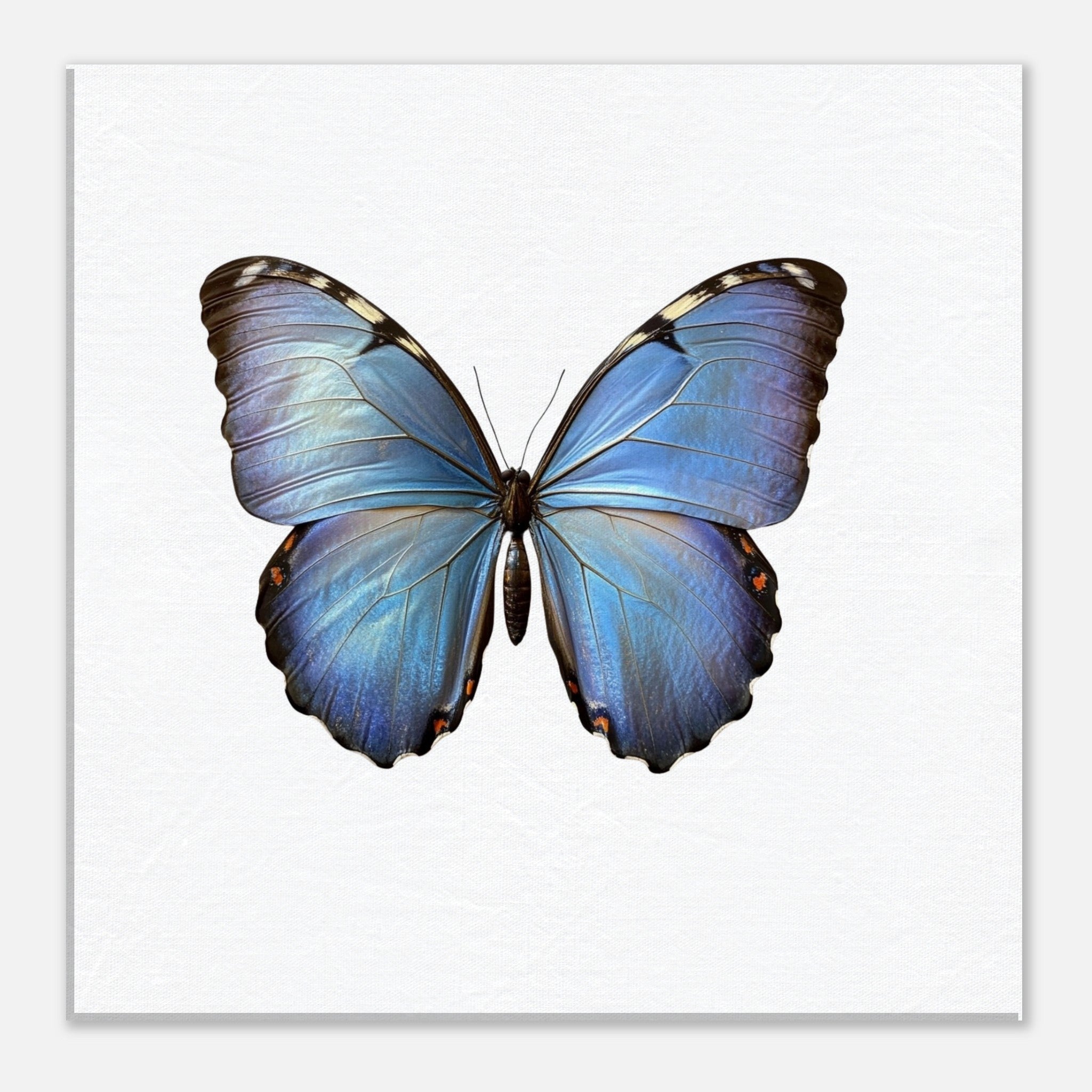 cbe46d1a-0768-4244-a6f0-e8cb6f6ceb41