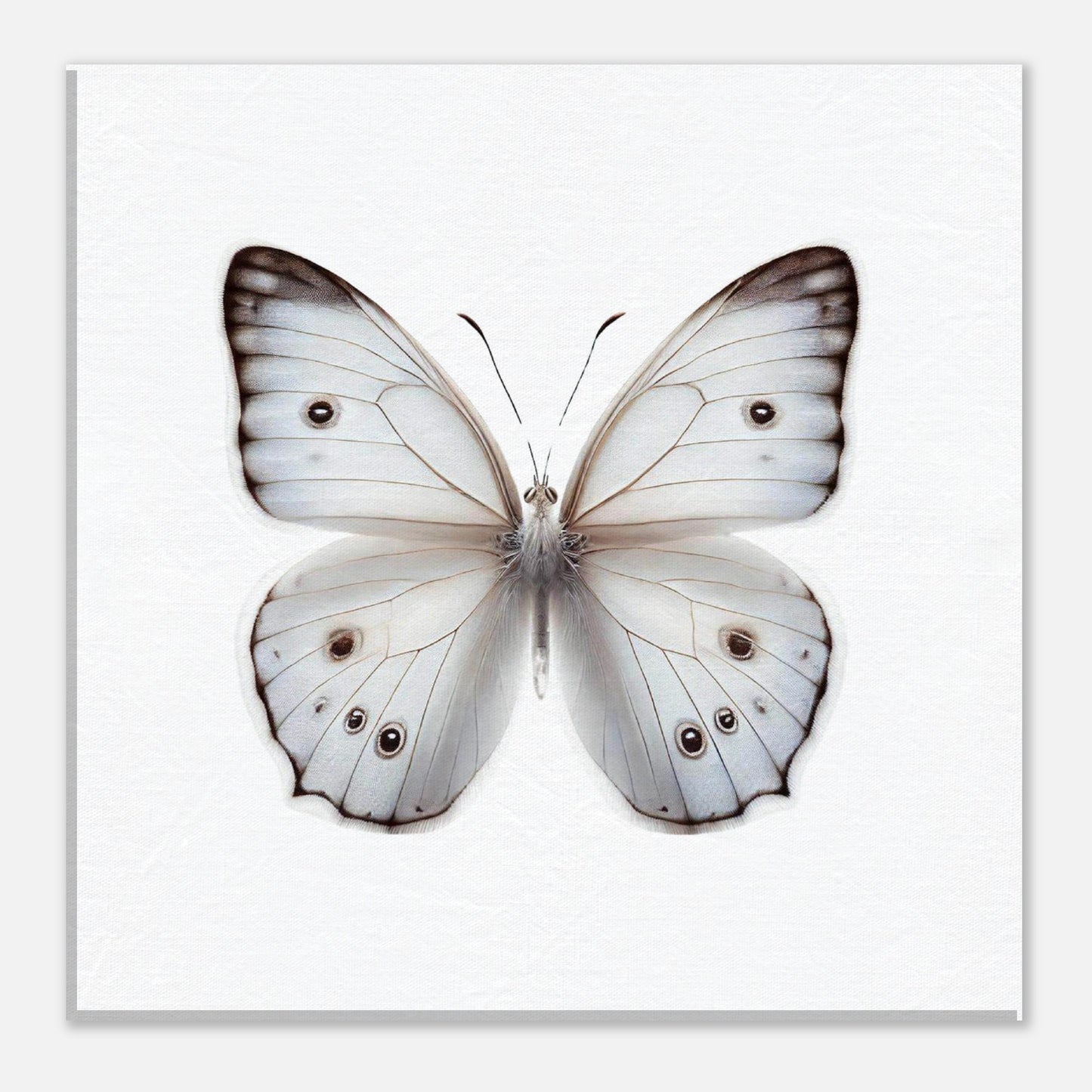 e4efc1f5-ec5d-49a4-99df-d3f970a281dd
