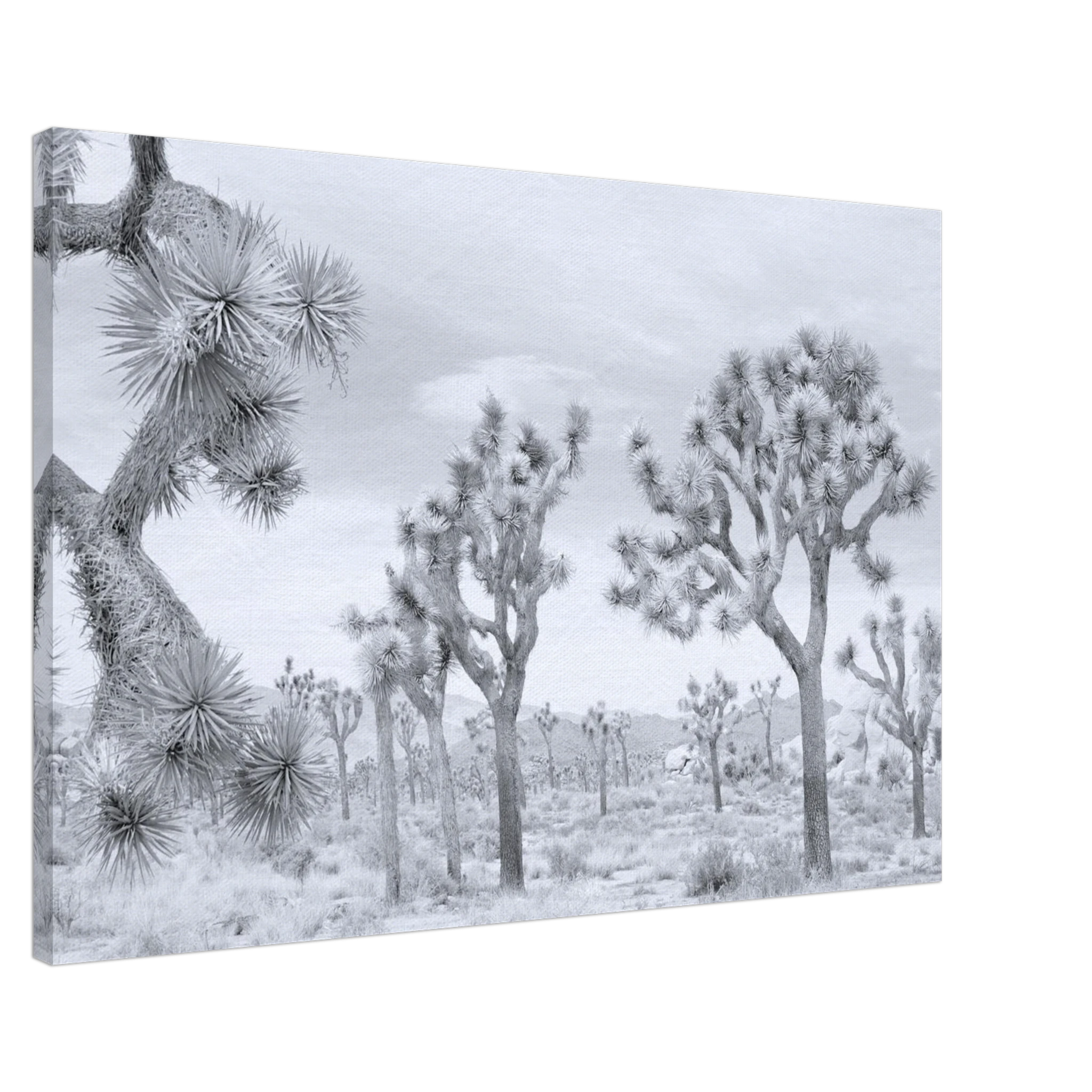 fe8a80fe-8eac-487a-8385-62a5678a143a