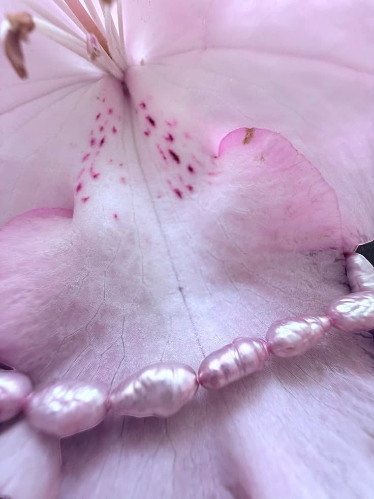 Lilac Vintage Salt Water Pearl Necklaces