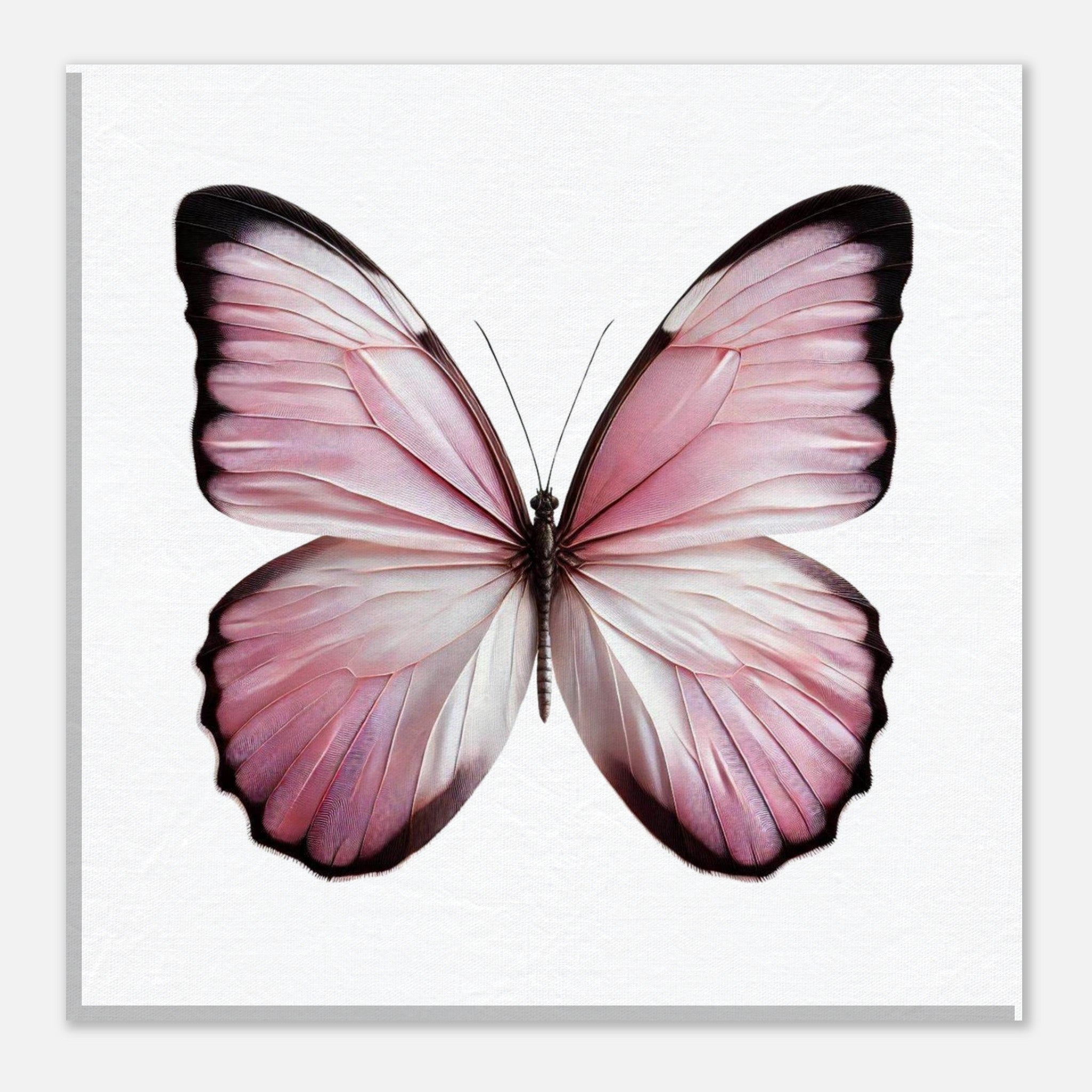 0efd18e6-34bc-48c6-a3db-d652a4c13f6b