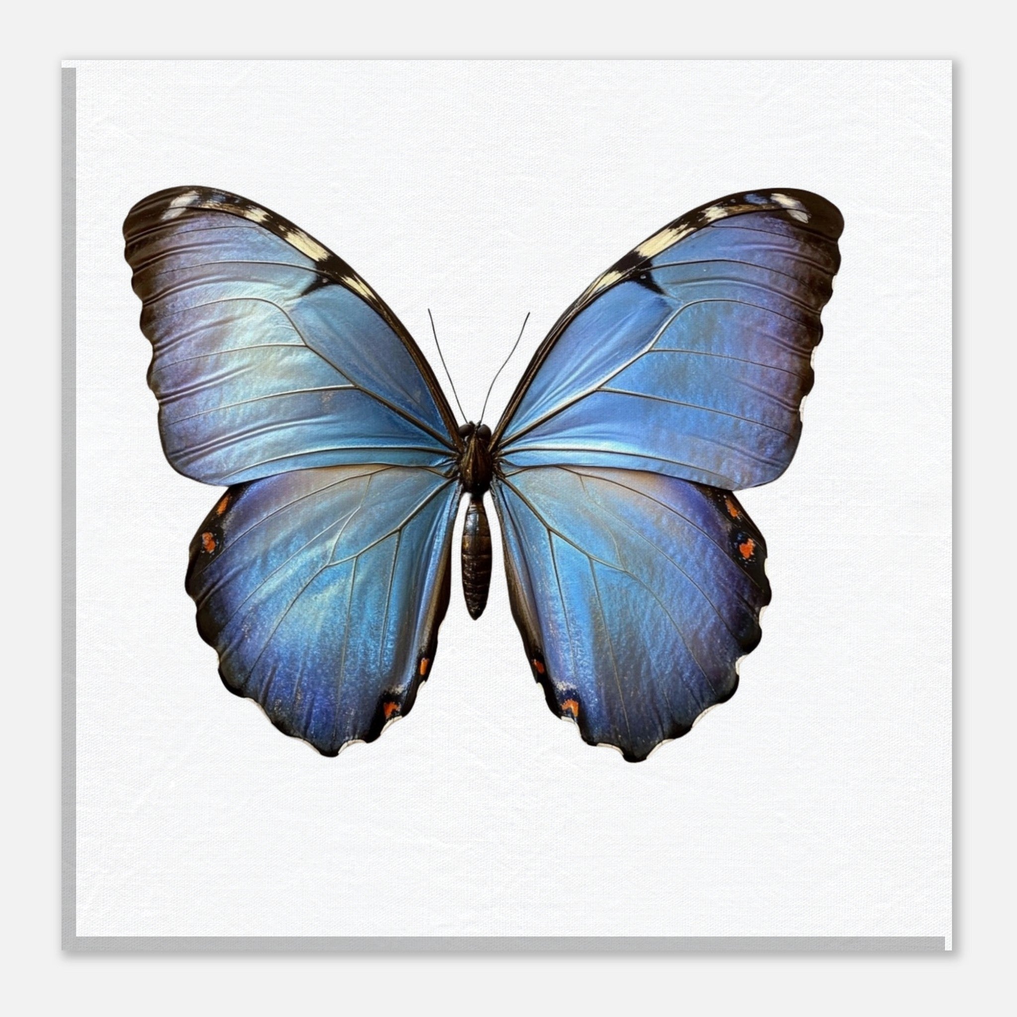 38df5366-8e26-4264-b751-6548bbc0dc98