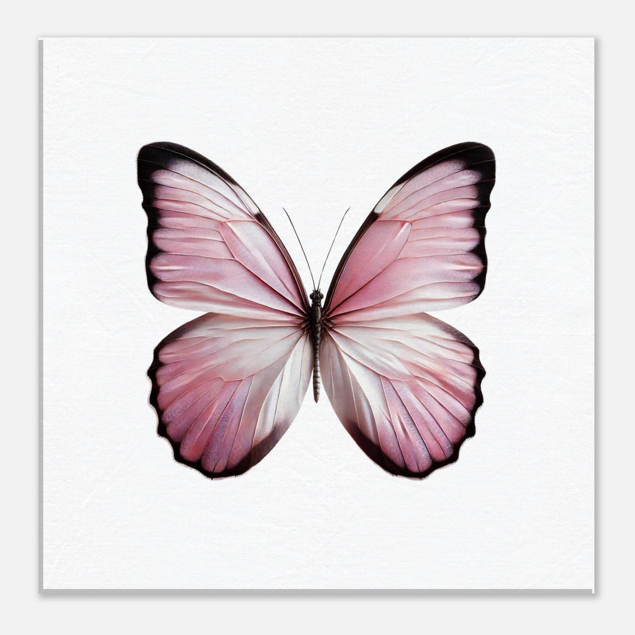 45098ec9-286e-412e-b68e-90355744ce8a