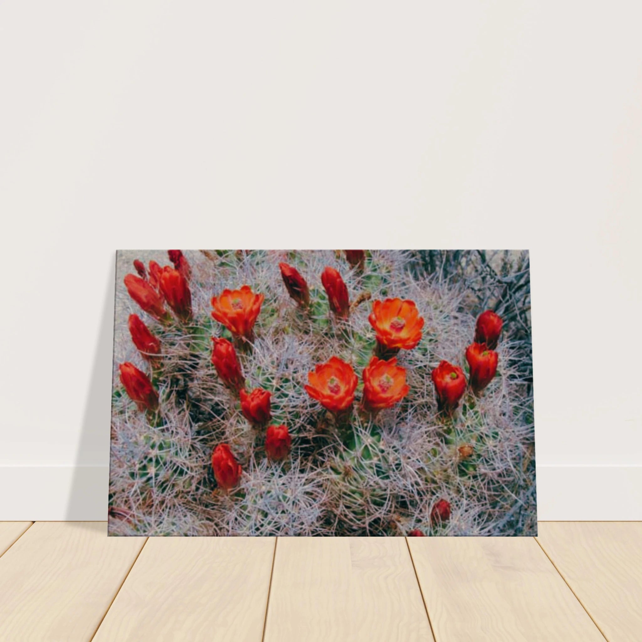 45a0fd08-63d1-40bd-ac99-f338db410c83