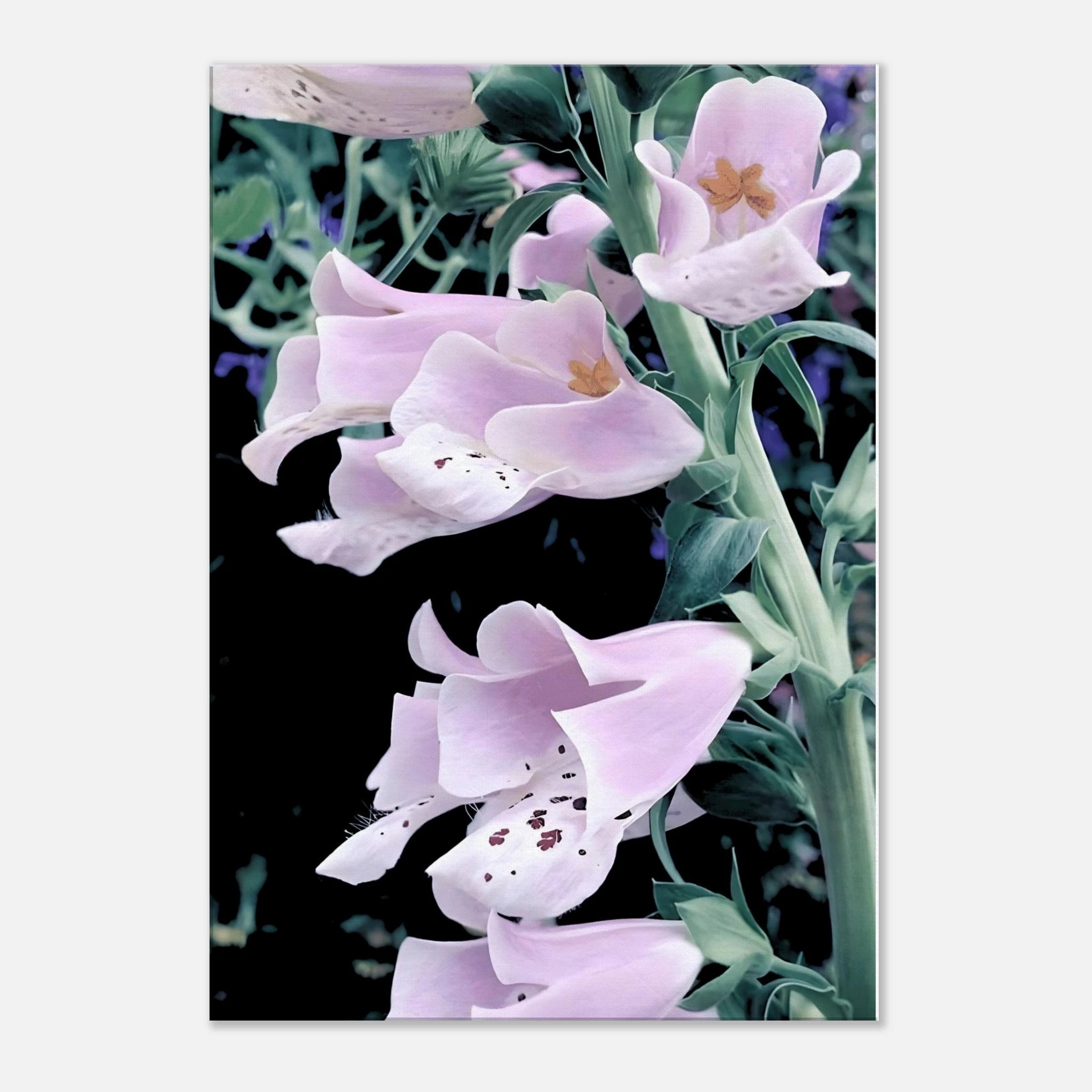 59f9ae50-0389-43ce-a8a1-5034be6ed106