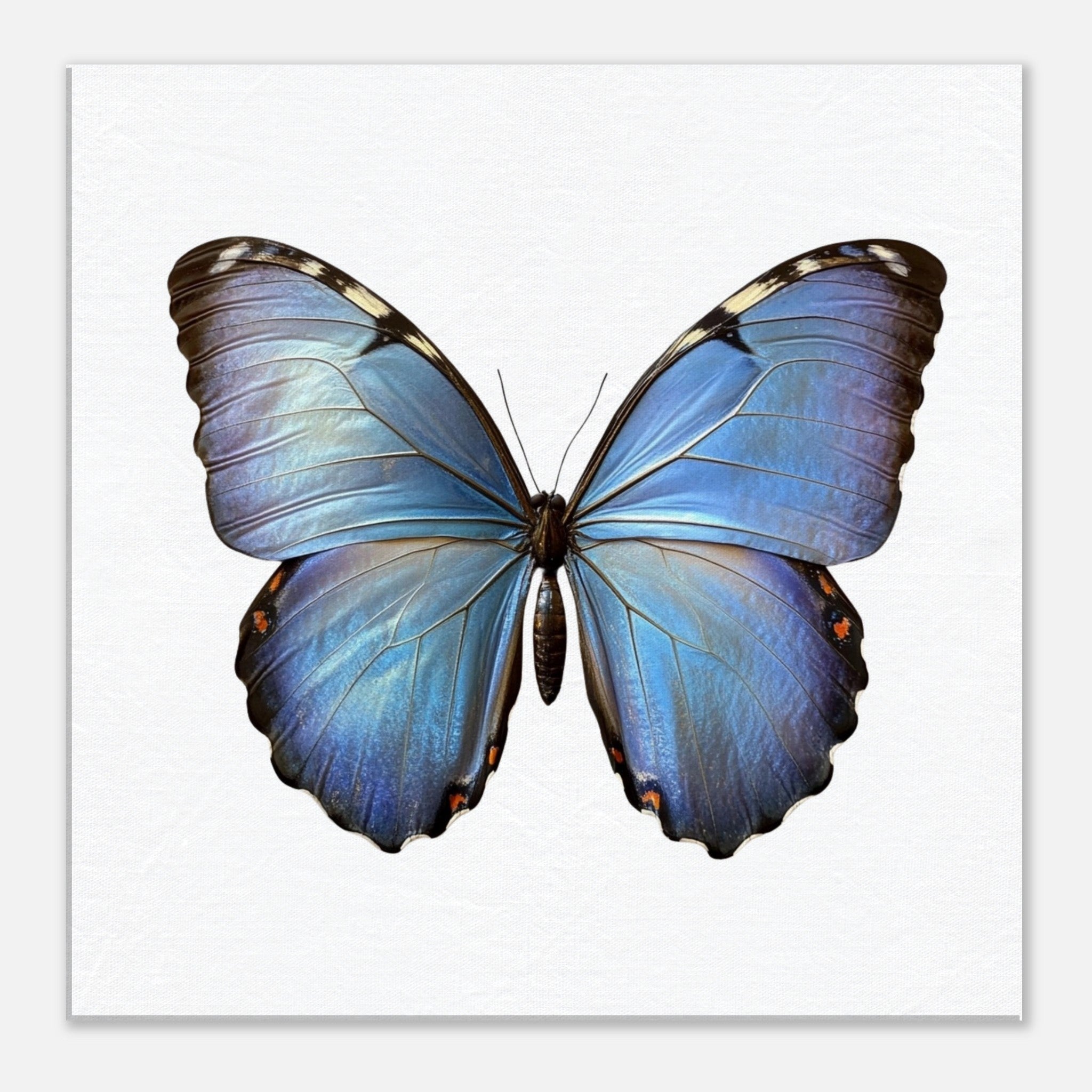 5bd808a1-0090-4340-a748-9cdc5862e149