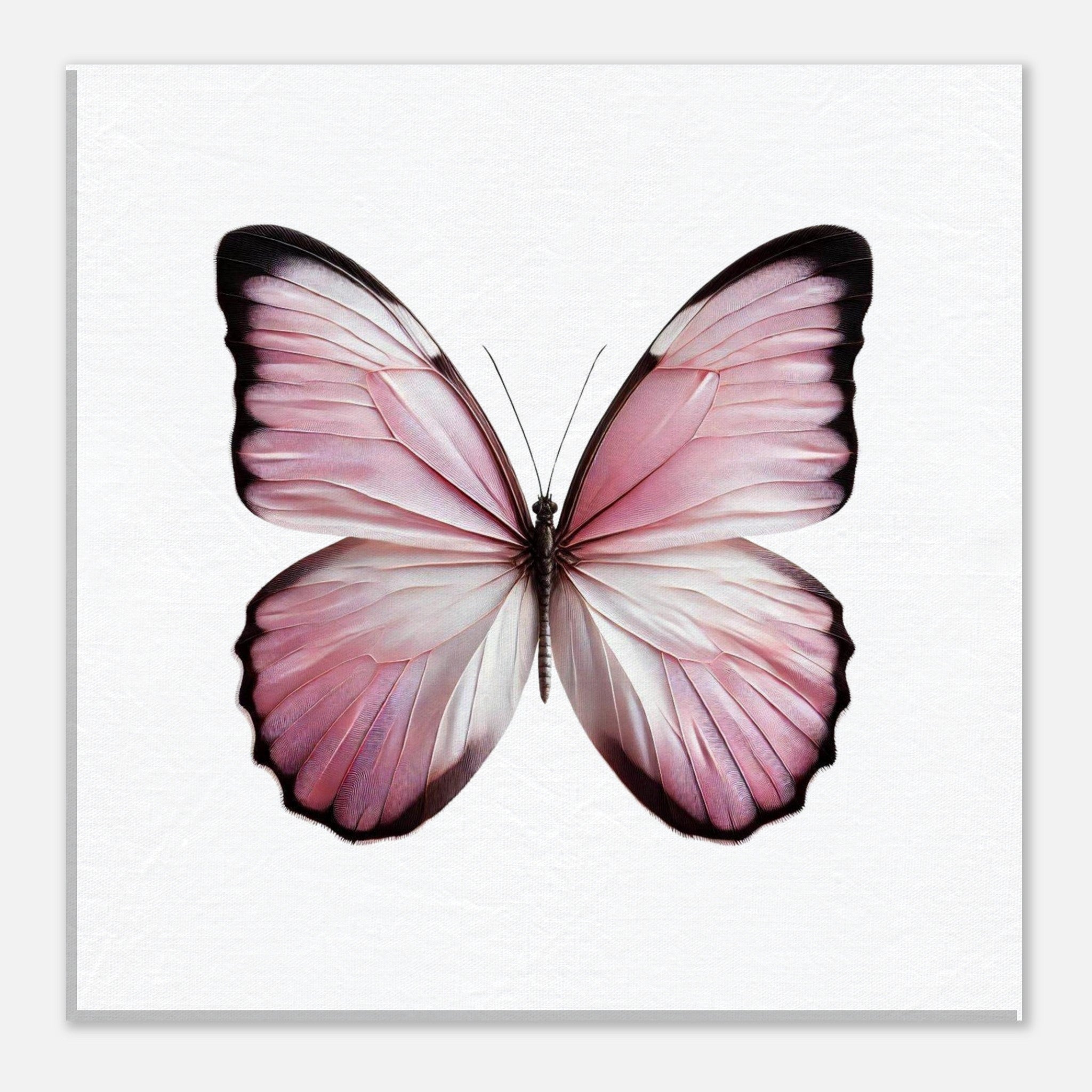 6adde8ed-142d-47ca-acb9-f1582dbf7bb2