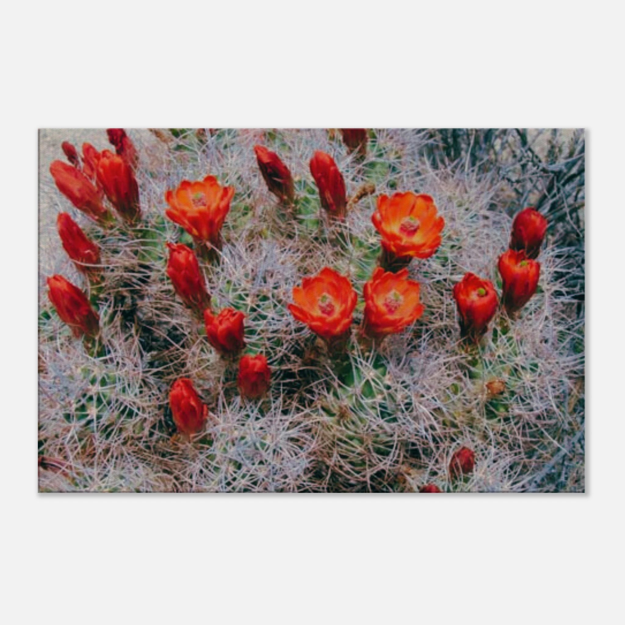 8b7248b3-8af1-4ba1-bd54-d3257f01a7e1