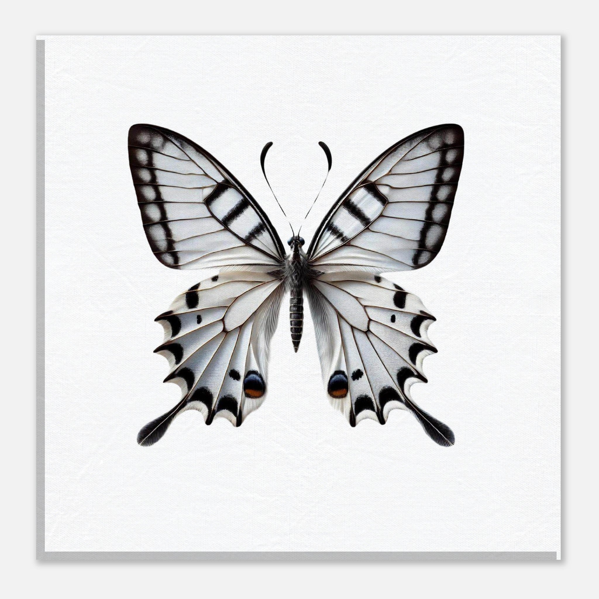 960a51bc-0b03-47ce-bb28-1f38a572e72b