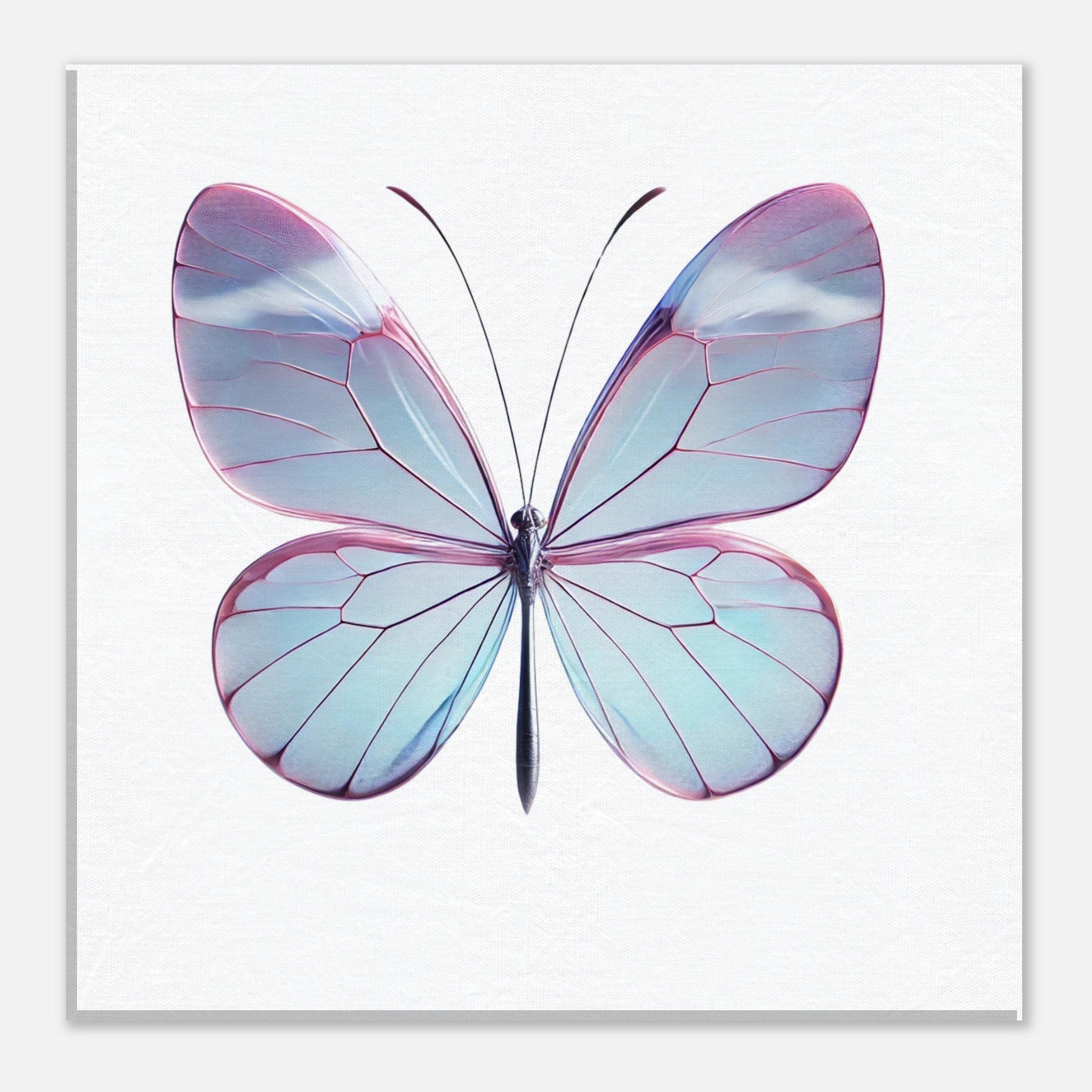 98114e55-2847-43c6-b0ee-9d97ff8ac596