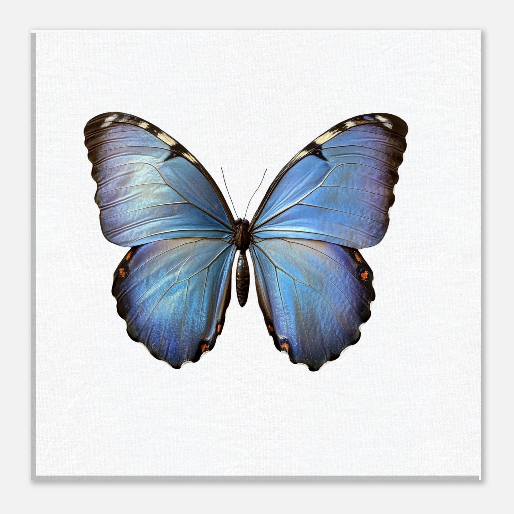 9be63889-0080-4d43-bf8b-f0884ef648fc