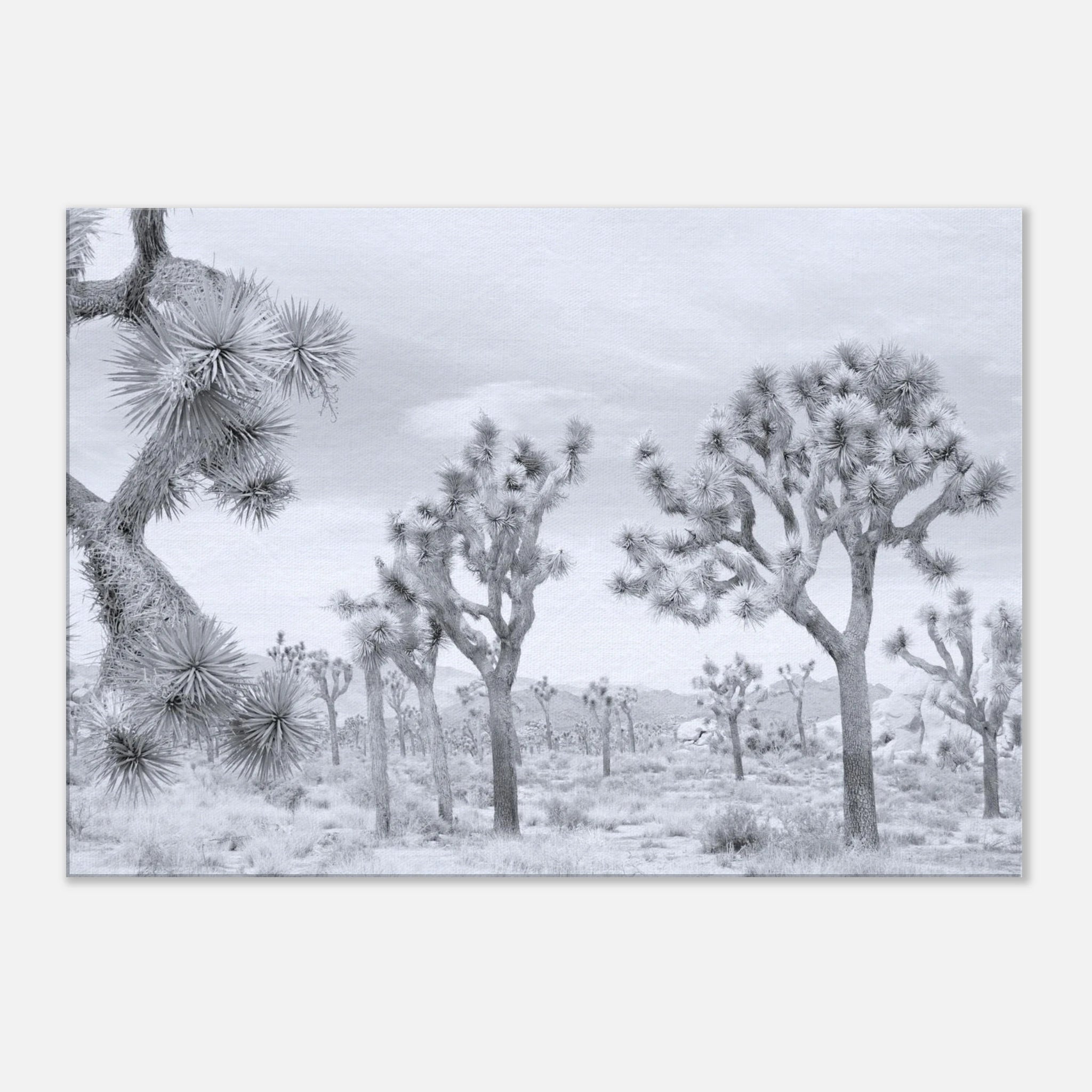 ae47a817-1c13-4464-93b4-39dd024ea65c