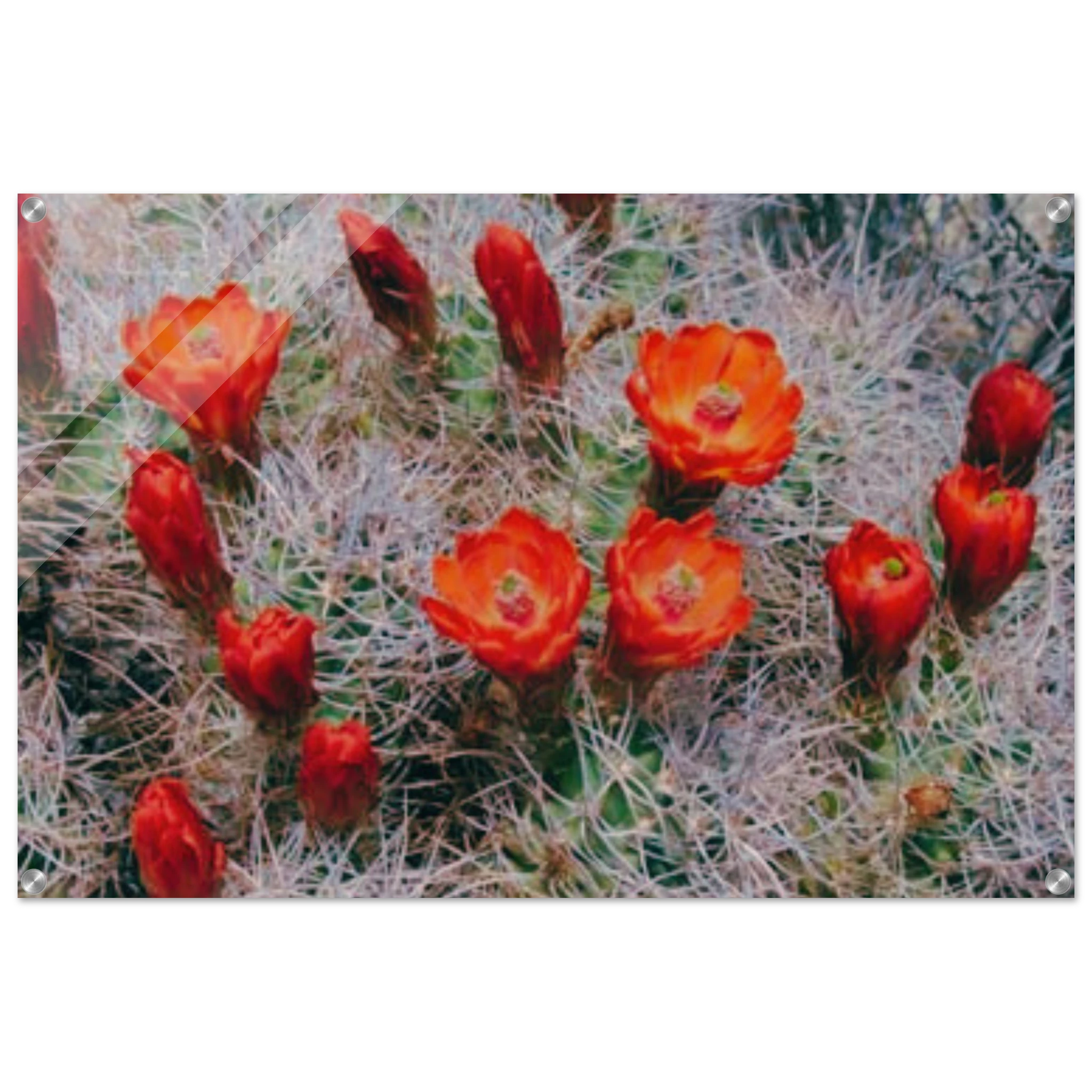 c5855e4d-2111-4cb8-9efb-ca8253209f02