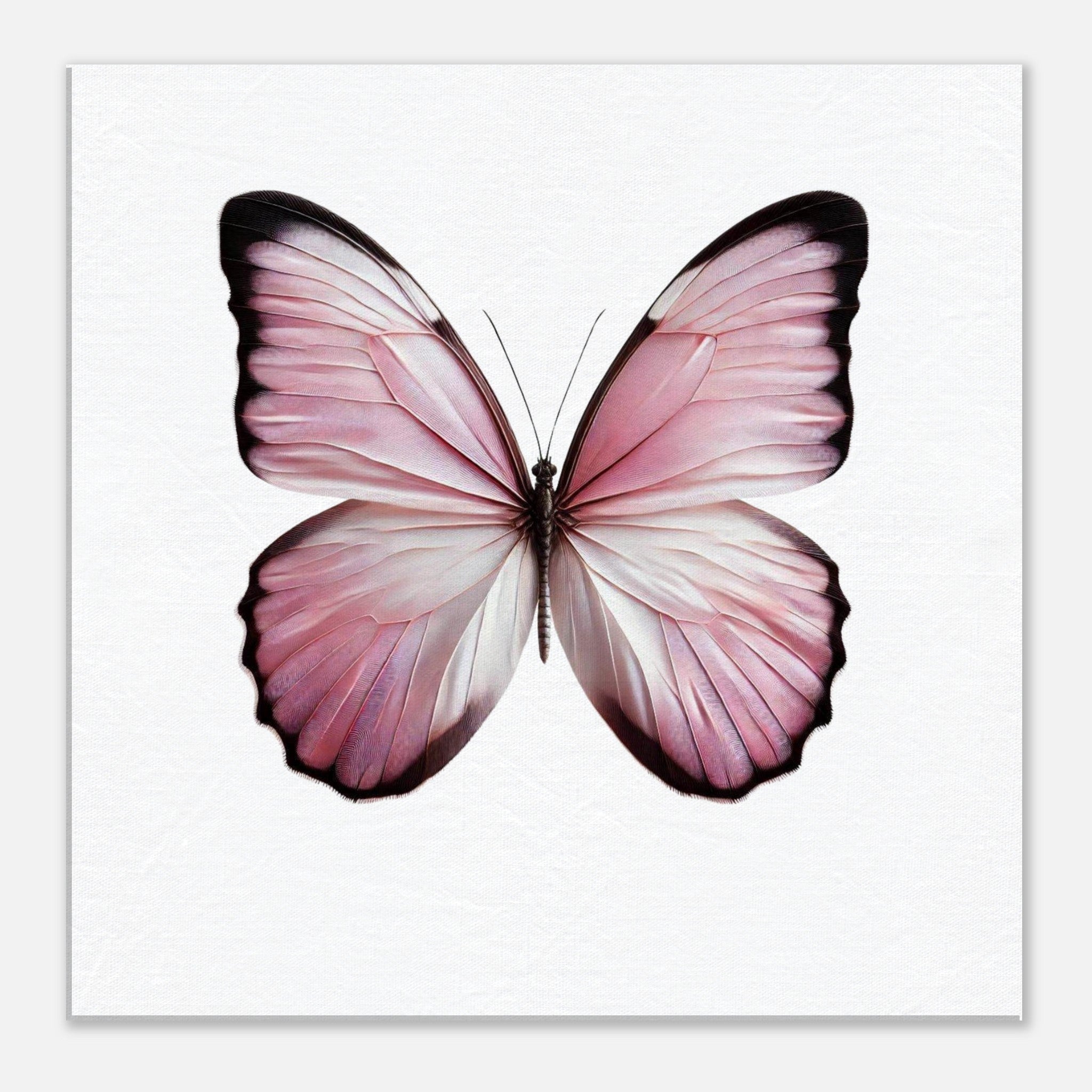 c6a74433-d8ea-411f-affa-76d7283acaa3