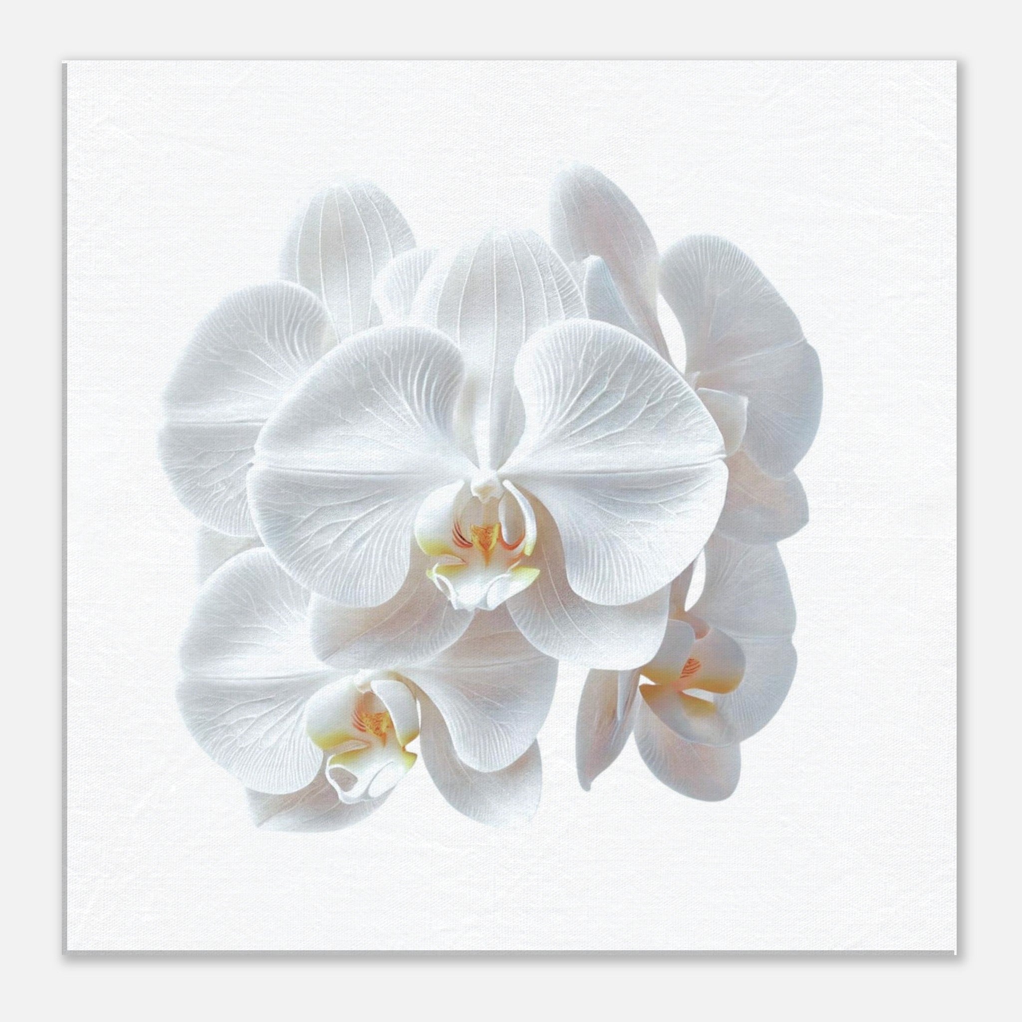 c81aa9e3-e56f-4fb7-b619-439ee1f690ac