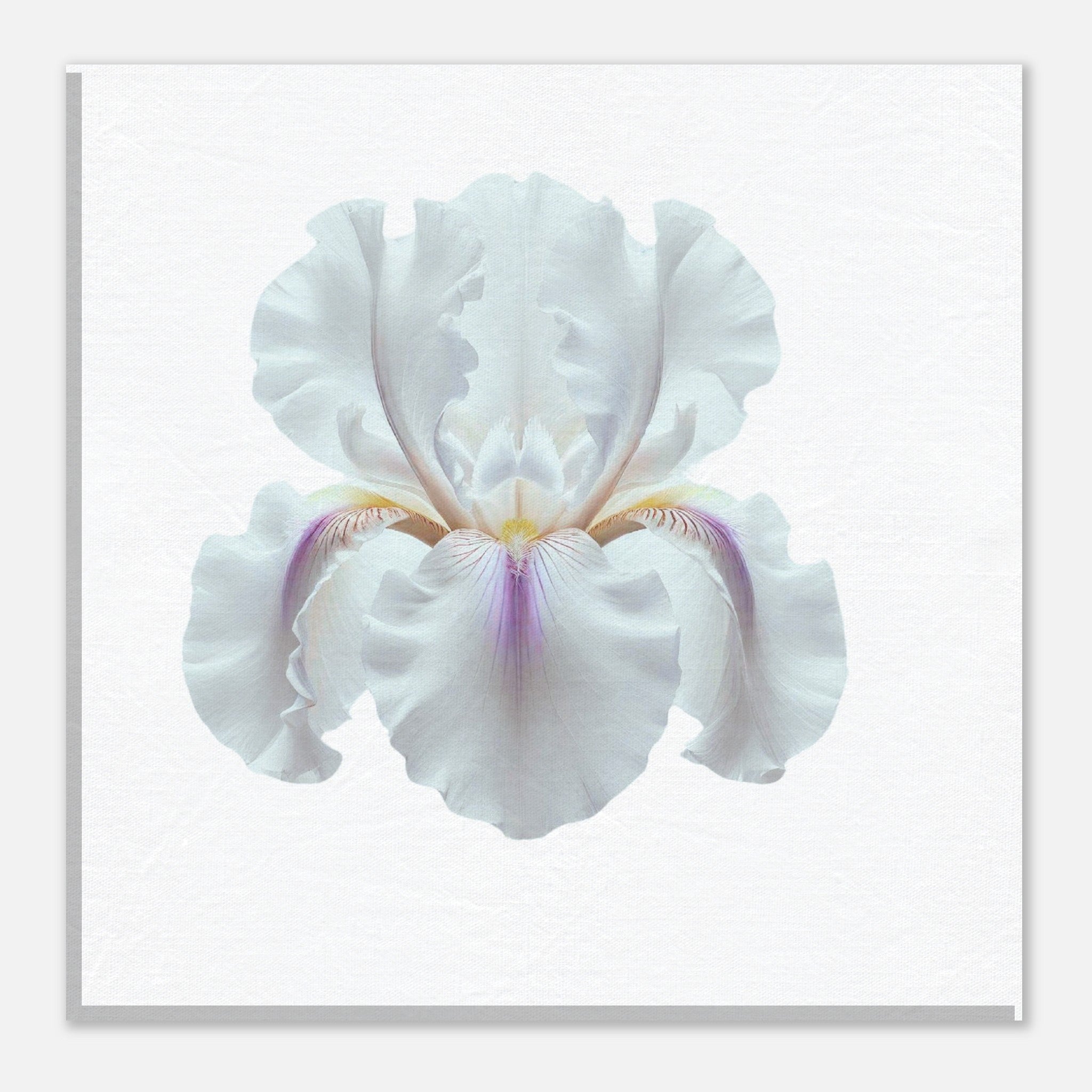 c8bf9bae-1f17-4d3c-8969-4e81f982a883