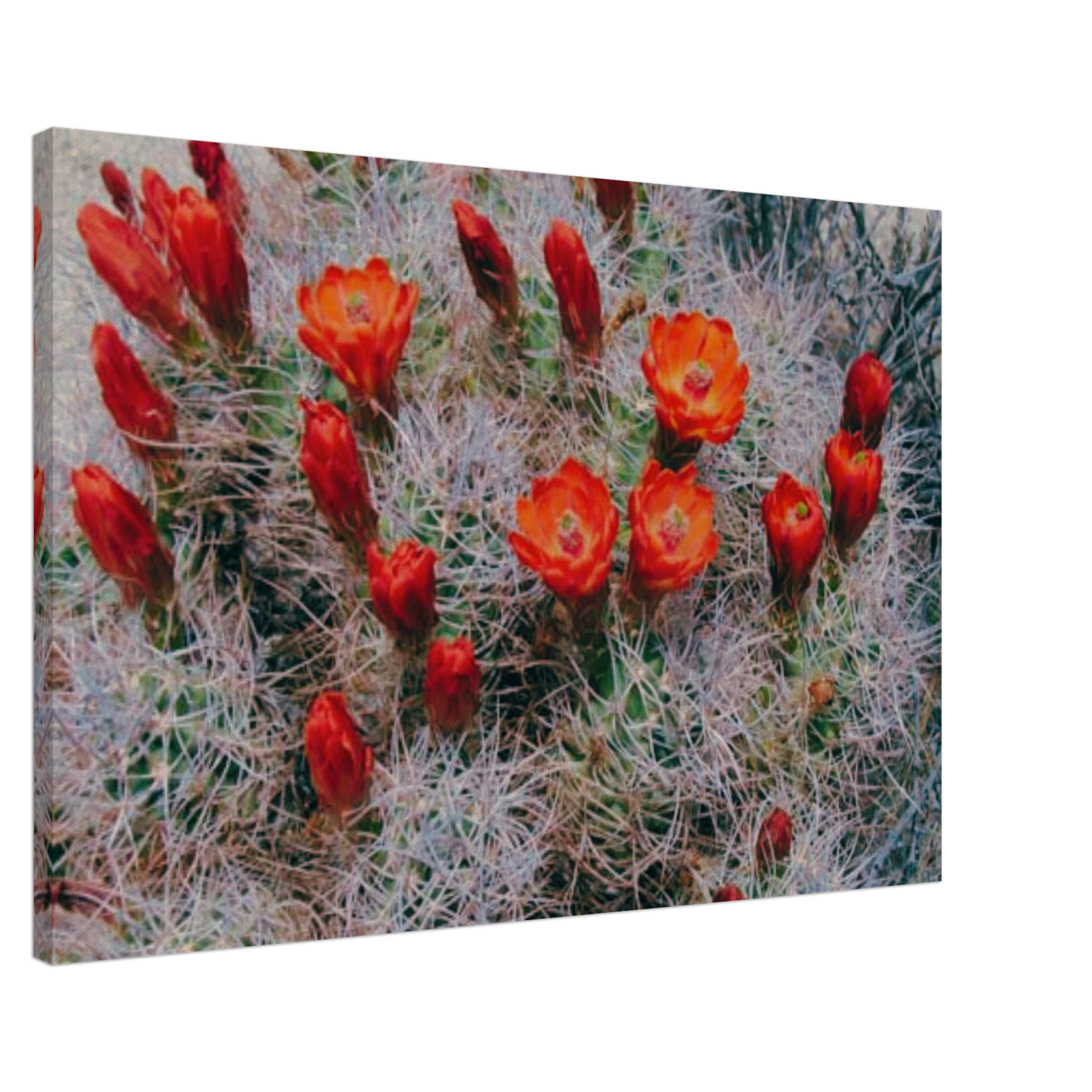 d8b6f4a9-61b2-4c51-8f1b-72023d31eb51