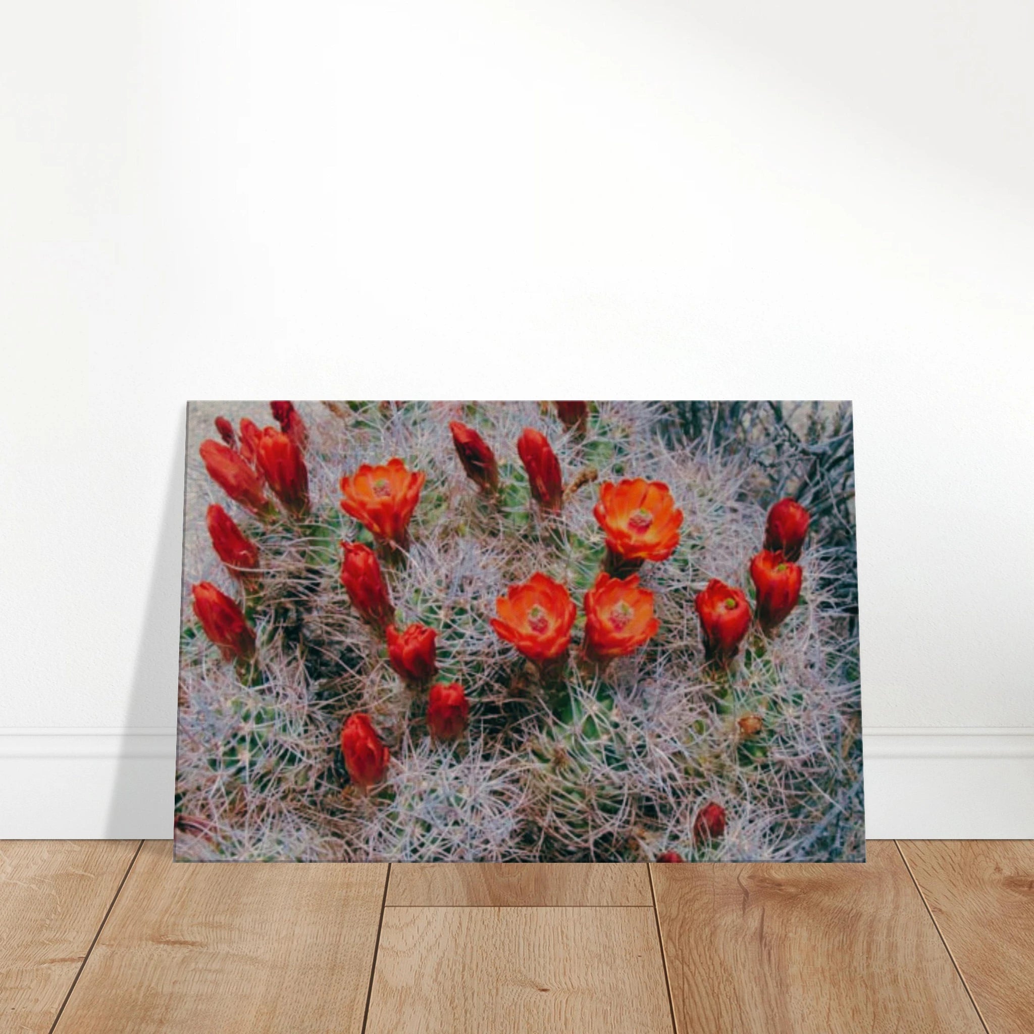 f3feb8f5-1652-4f69-9bfe-88bdc118e038