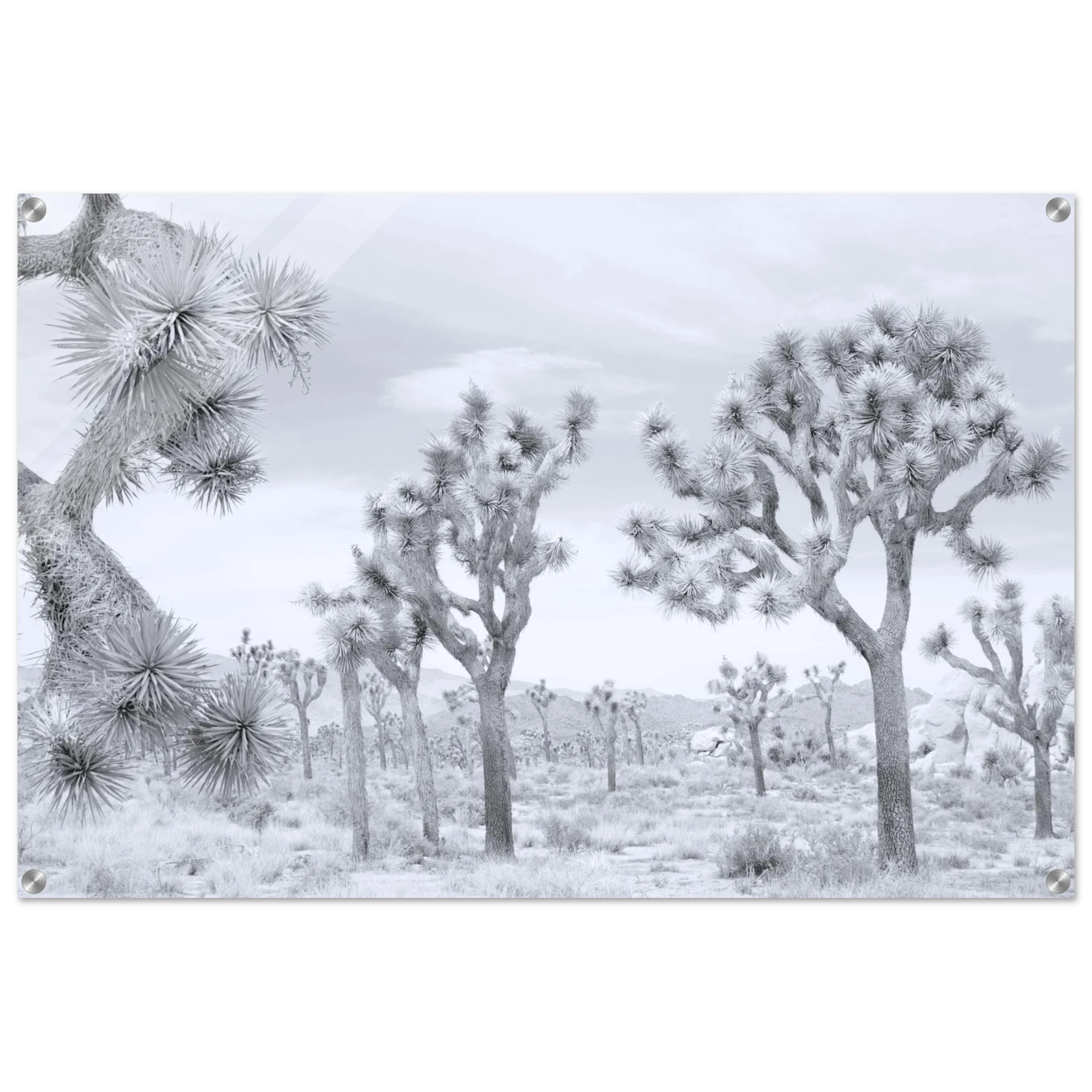 f77529a4-1c6e-4326-a445-f57aec986437